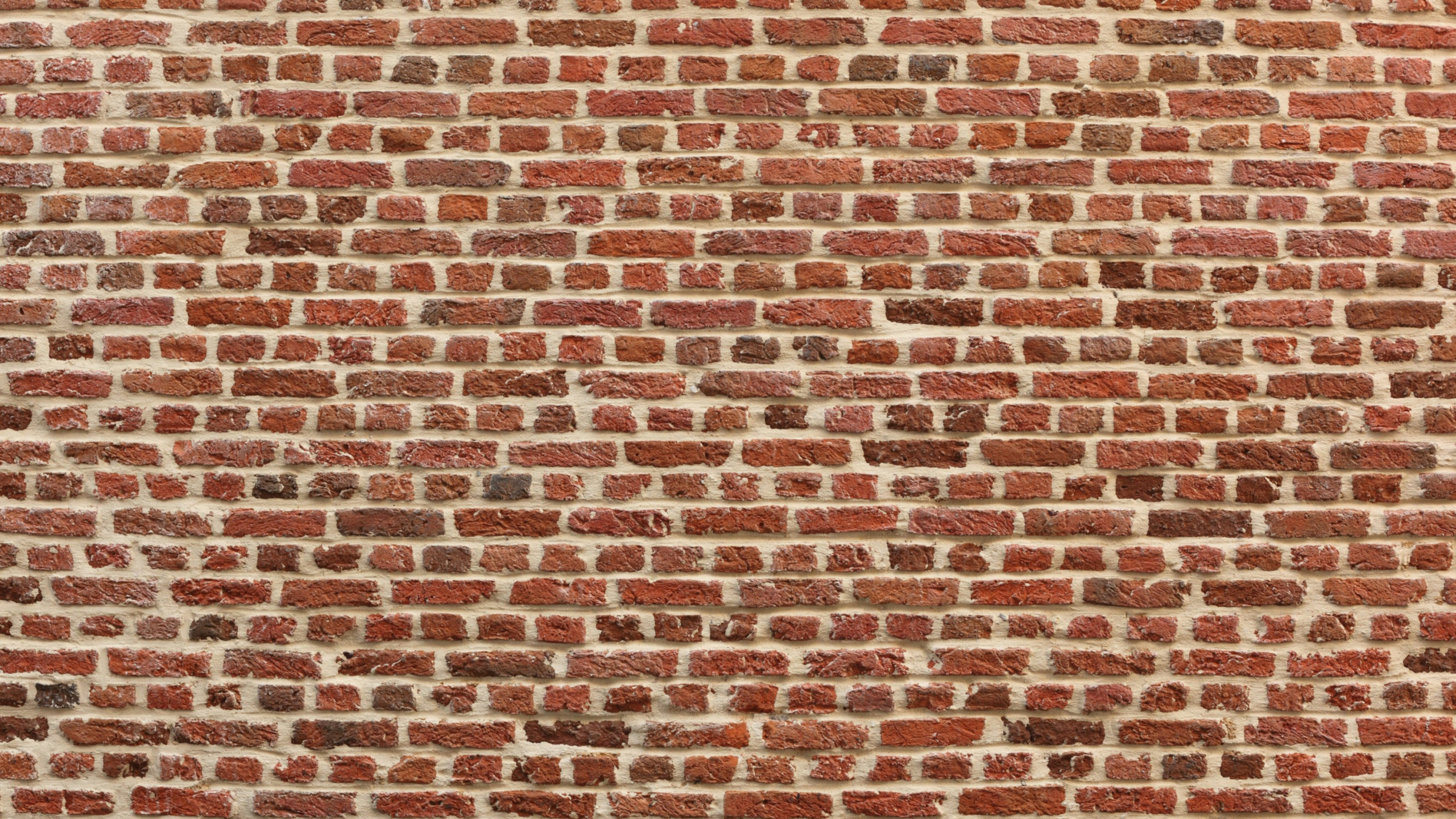 Pared de Ladrillo Blanco y Marrón. Wallpaper in 2560x1440 Resolution