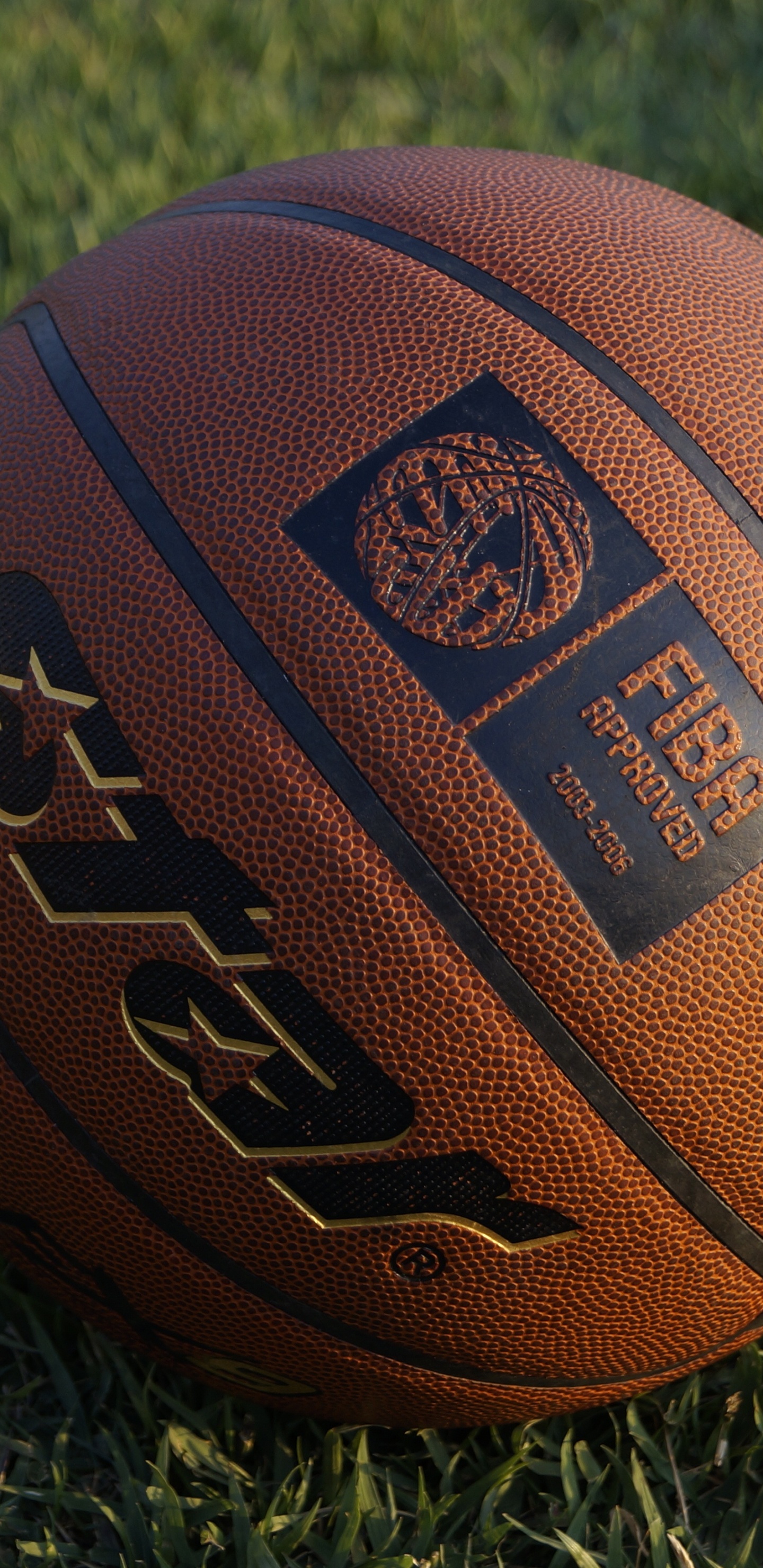 Basket-ball Marron Sur L'herbe Verte. Wallpaper in 1440x2960 Resolution