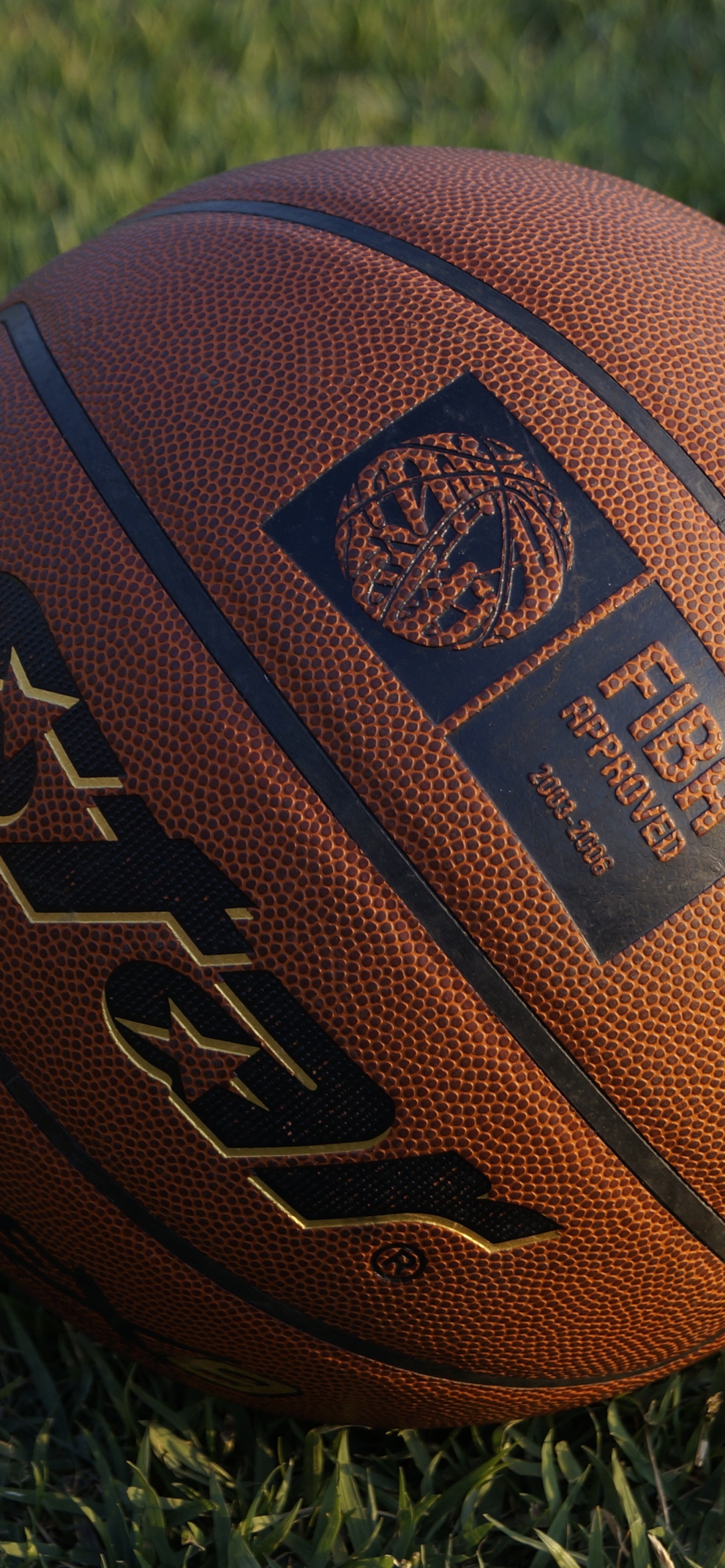 Baloncesto Marrón Sobre Hierba Verde. Wallpaper in 1242x2688 Resolution