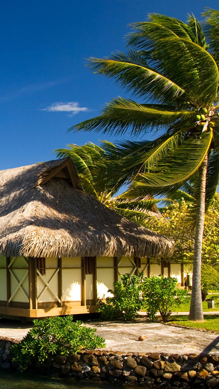 Casa de Madera Marrón Cerca de Palmera Verde y Cuerpo de Agua Durante el Día. Wallpaper in 720x1280 Resolution