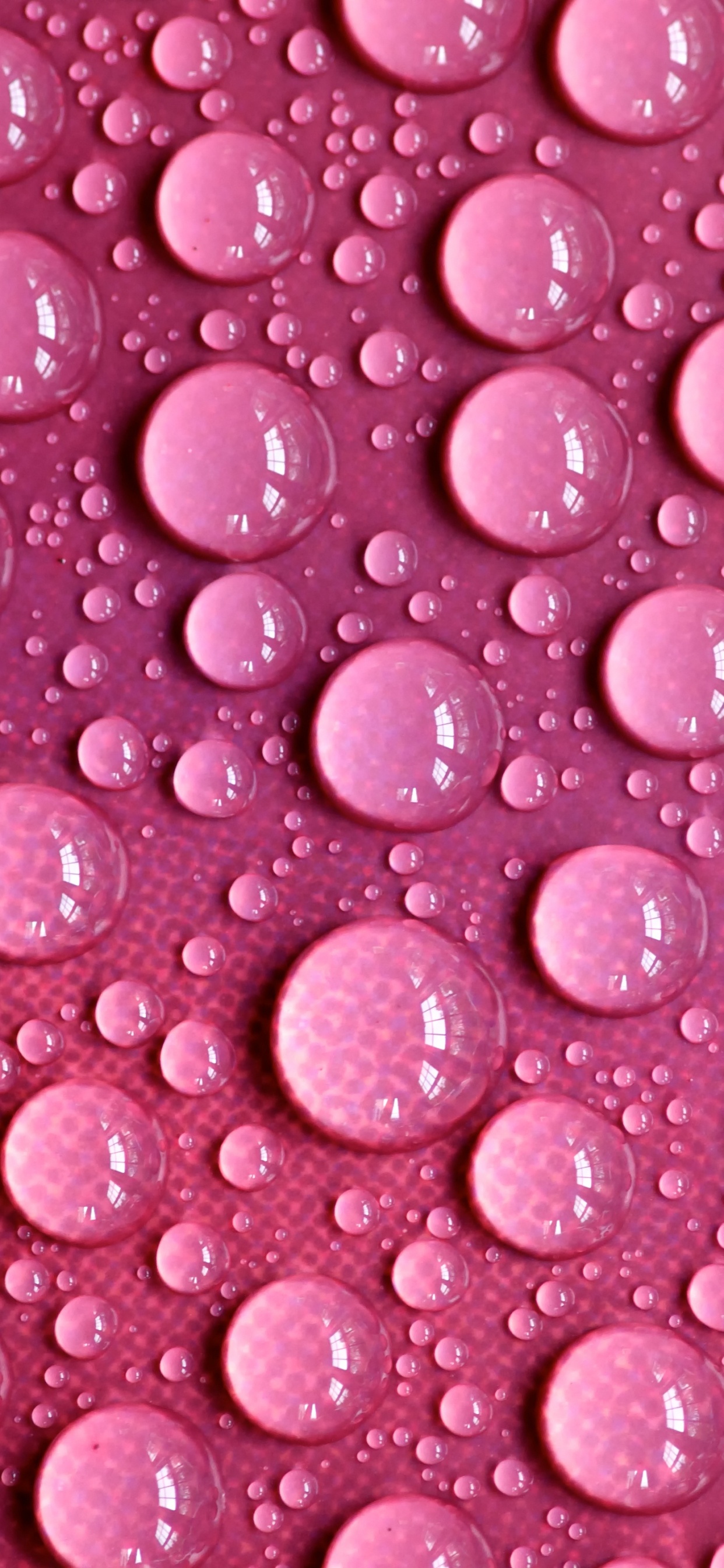 Illustration en Forme de Coeur Rose et Blanc. Wallpaper in 1242x2688 Resolution