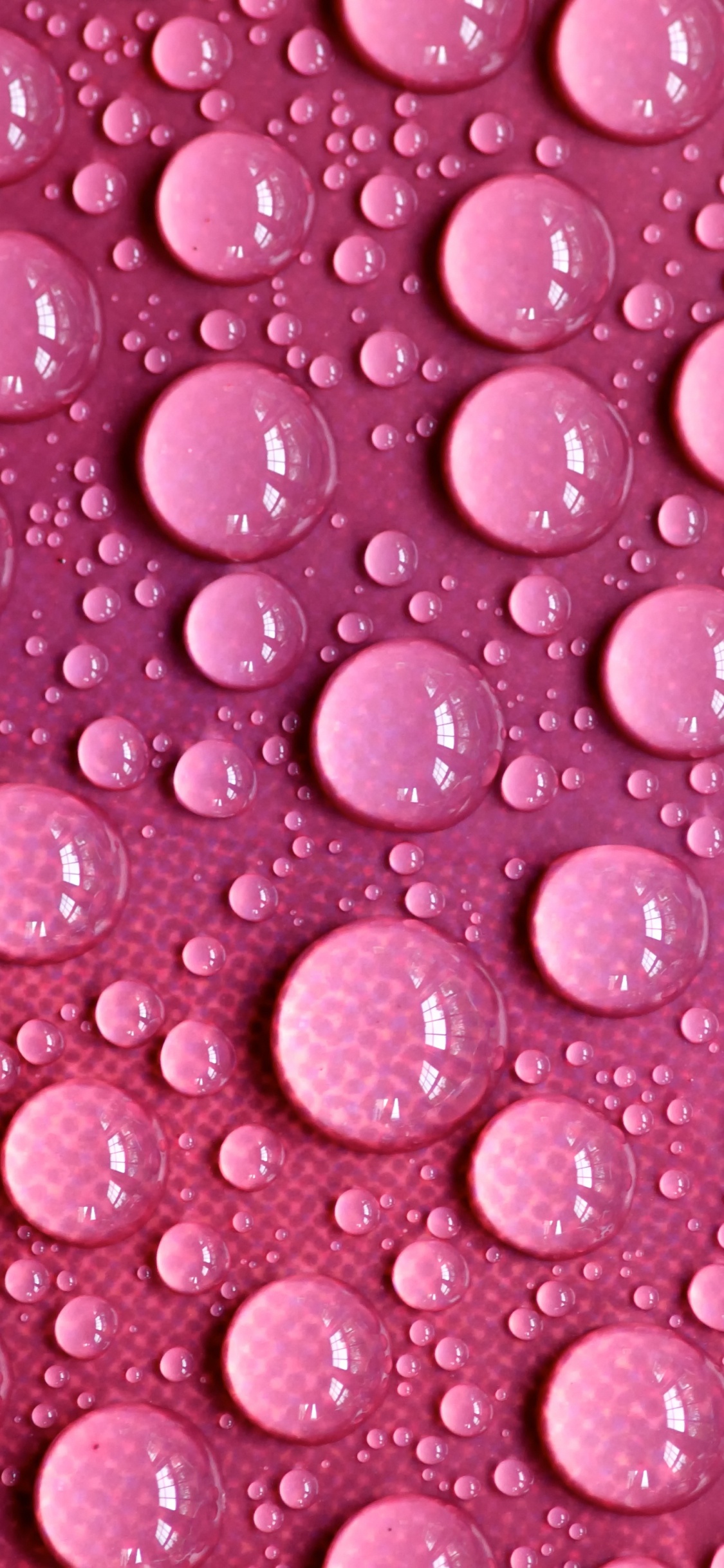 Rosa Und Weiße Herzförmige Illustration. Wallpaper in 1125x2436 Resolution