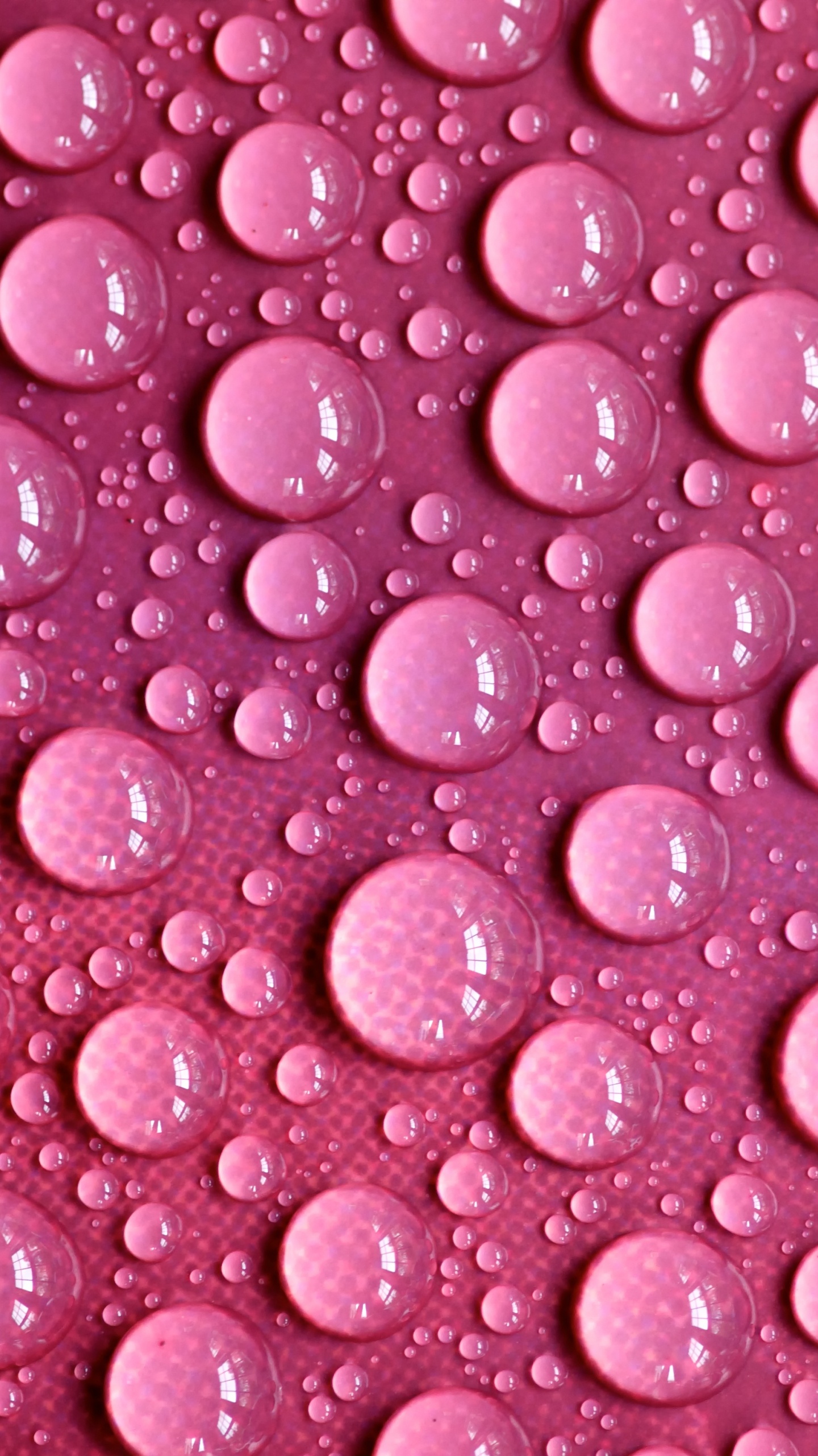 Rosa Und Weiße Herzförmige Illustration. Wallpaper in 1440x2560 Resolution