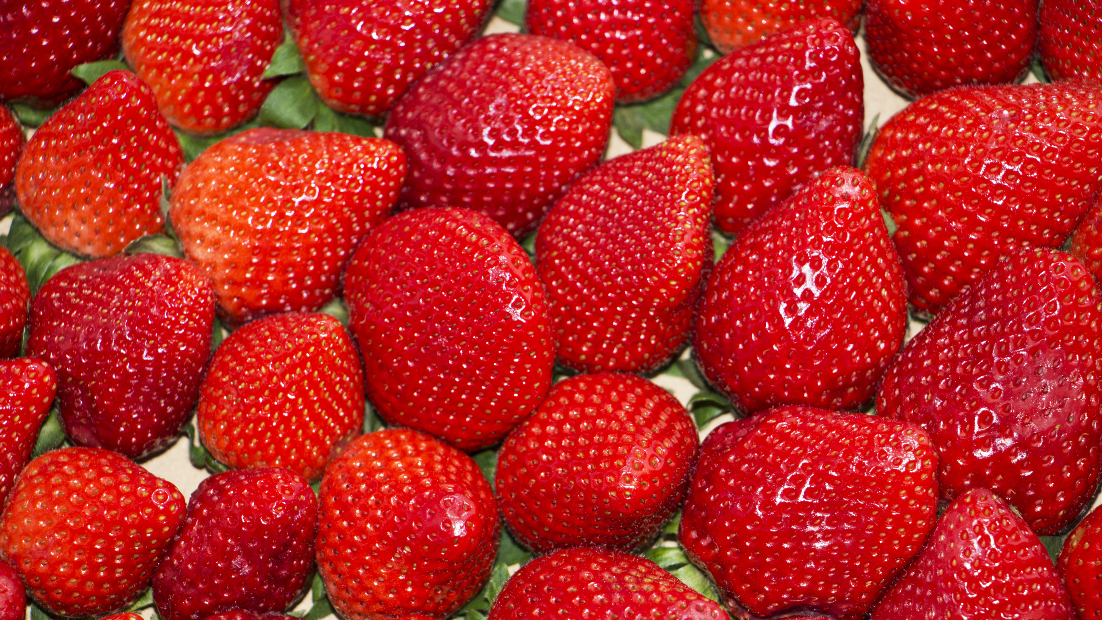 Fraises Rouges Sur Plaque en Céramique Blanche. Wallpaper in 3840x2160 Resolution
