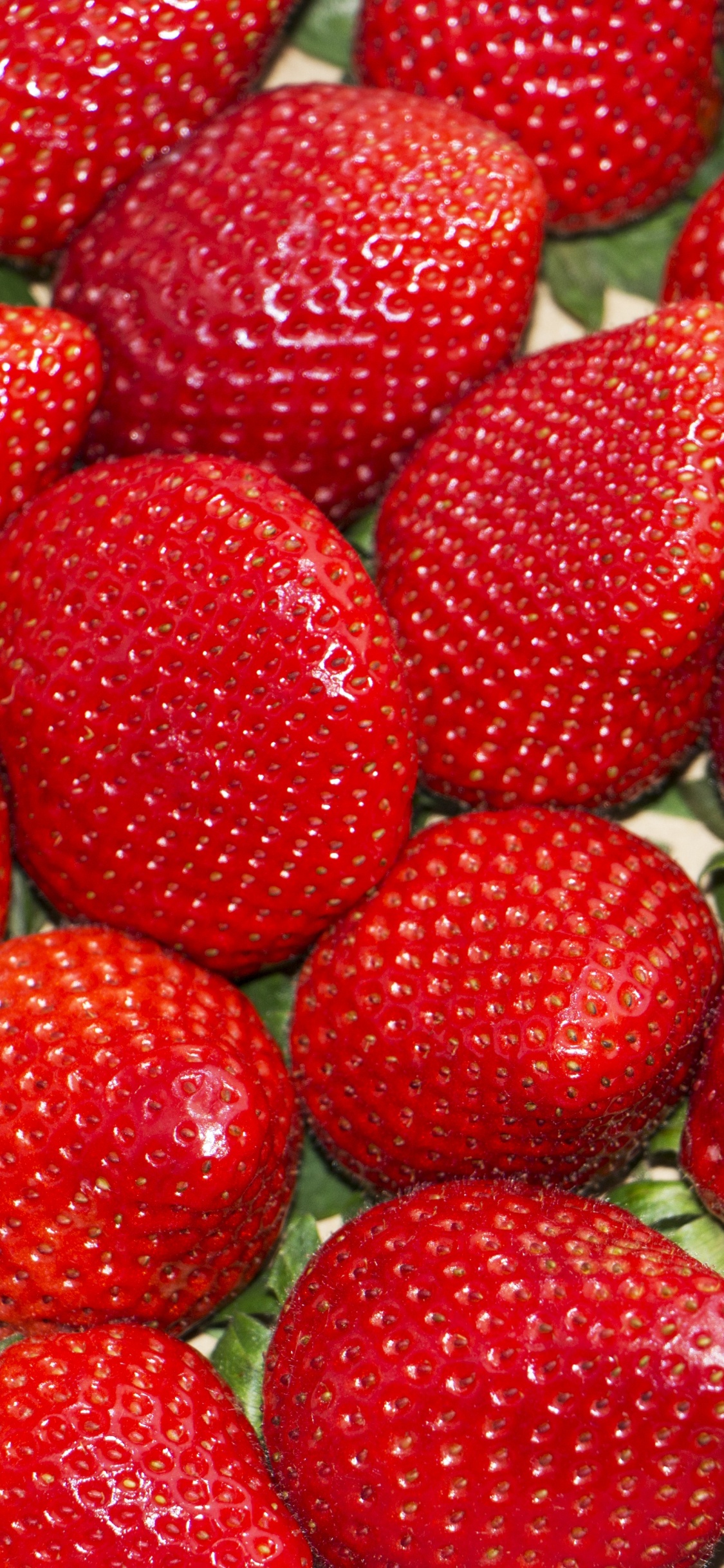 Rote Erdbeeren Auf Weißem Keramikteller. Wallpaper in 1125x2436 Resolution