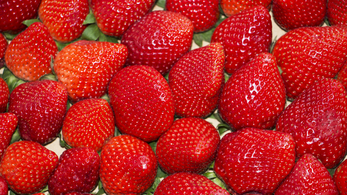 Rote Erdbeeren Auf Weißem Keramikteller. Wallpaper in 1366x768 Resolution