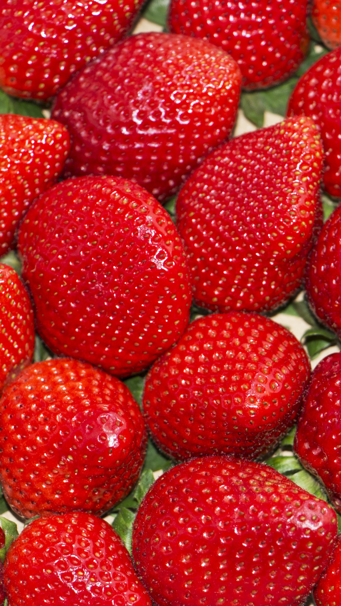 Rote Erdbeeren Auf Weißem Keramikteller. Wallpaper in 1440x2560 Resolution