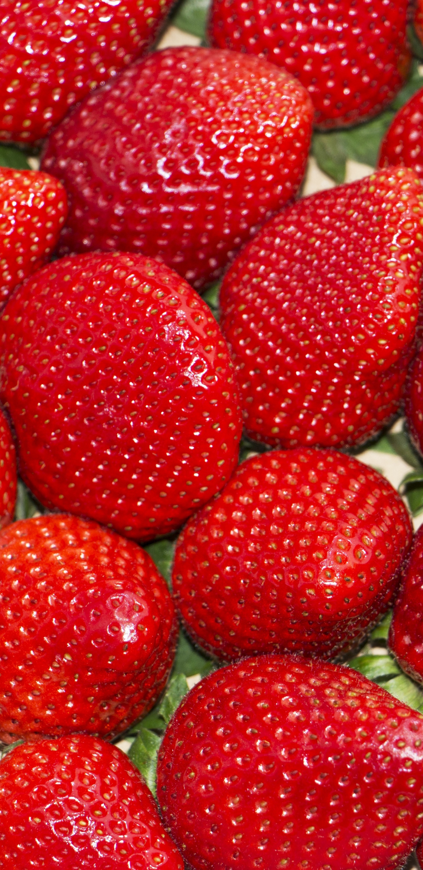 Rote Erdbeeren Auf Weißem Keramikteller. Wallpaper in 1440x2960 Resolution