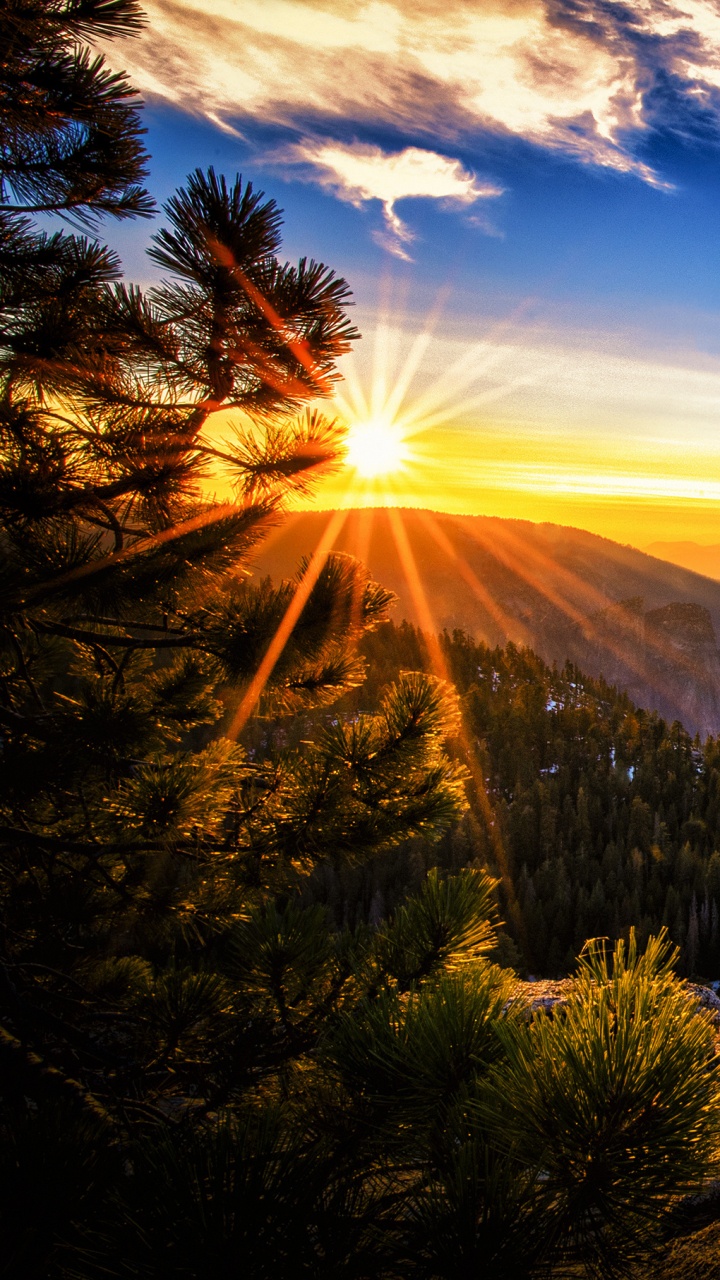 Green Trees on Brown Mountain Under Blue Sky During Daytime. Wallpaper in 720x1280 Resolution