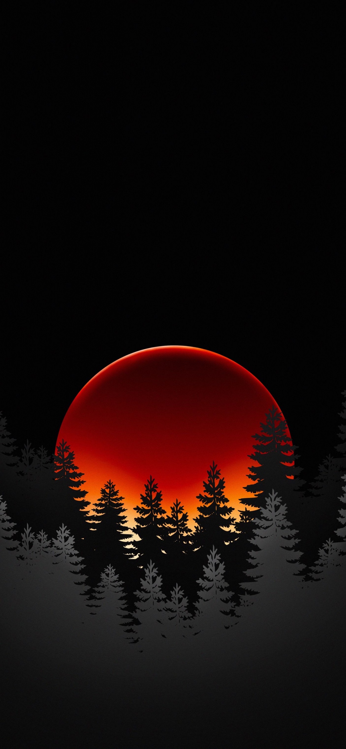 Atmosphäre, Natürlichen Umgebung, Orange, Naturlandschaft, Woody Pflanze. Wallpaper in 1125x2436 Resolution