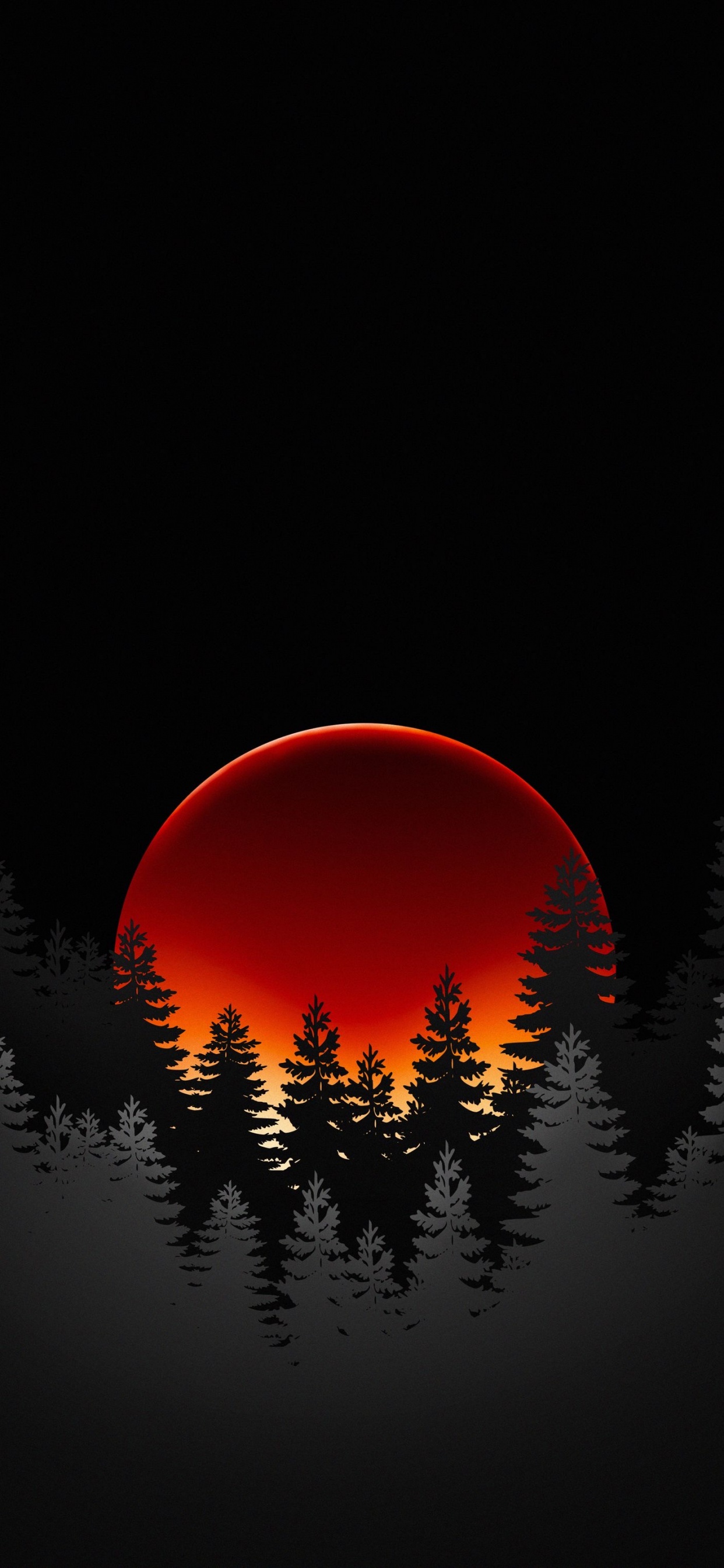 Atmosphäre, Natürlichen Umgebung, Orange, Naturlandschaft, Woody Pflanze. Wallpaper in 1242x2688 Resolution