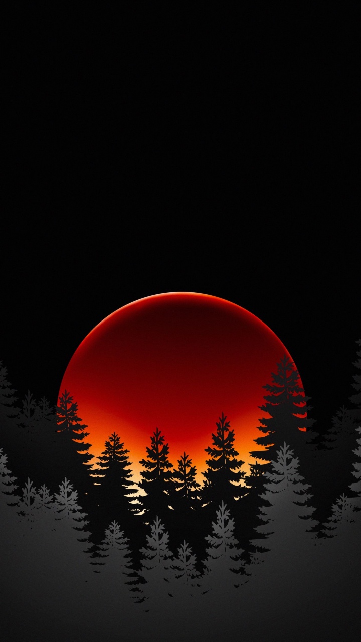 Atmosphäre, Natürlichen Umgebung, Orange, Naturlandschaft, Woody Pflanze. Wallpaper in 720x1280 Resolution