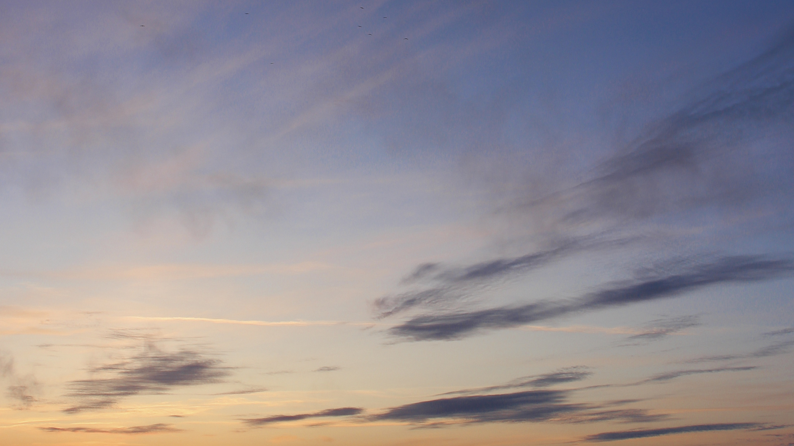 Sea, Sunset, Horizon, Afterglow, Cloud. Wallpaper in 2560x1440 Resolution