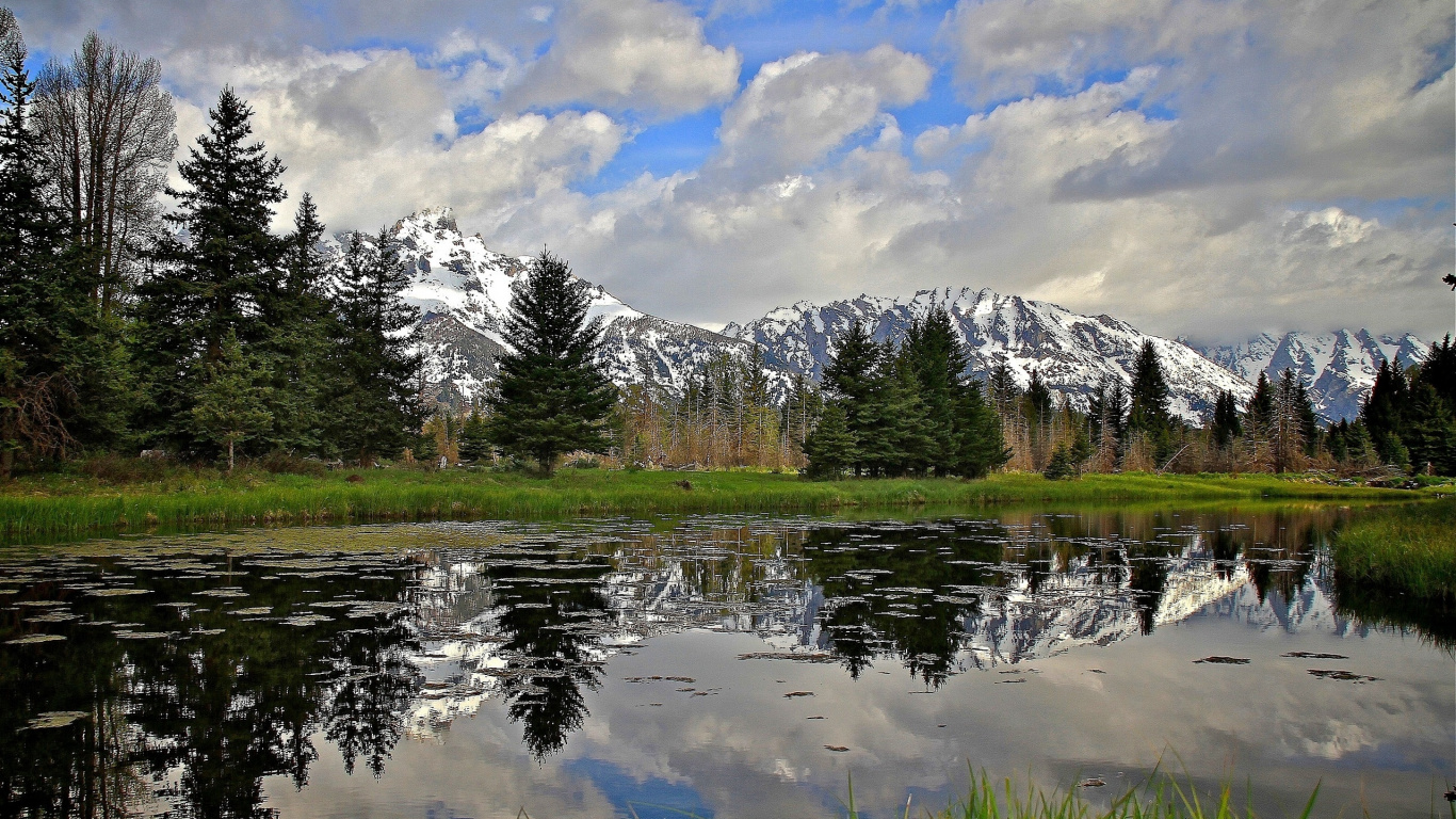 Campo de Hierba Verde Cerca Del Lago y Árboles Bajo Nubes Blancas y Cielo Azul Durante el Día. Wallpaper in 1366x768 Resolution