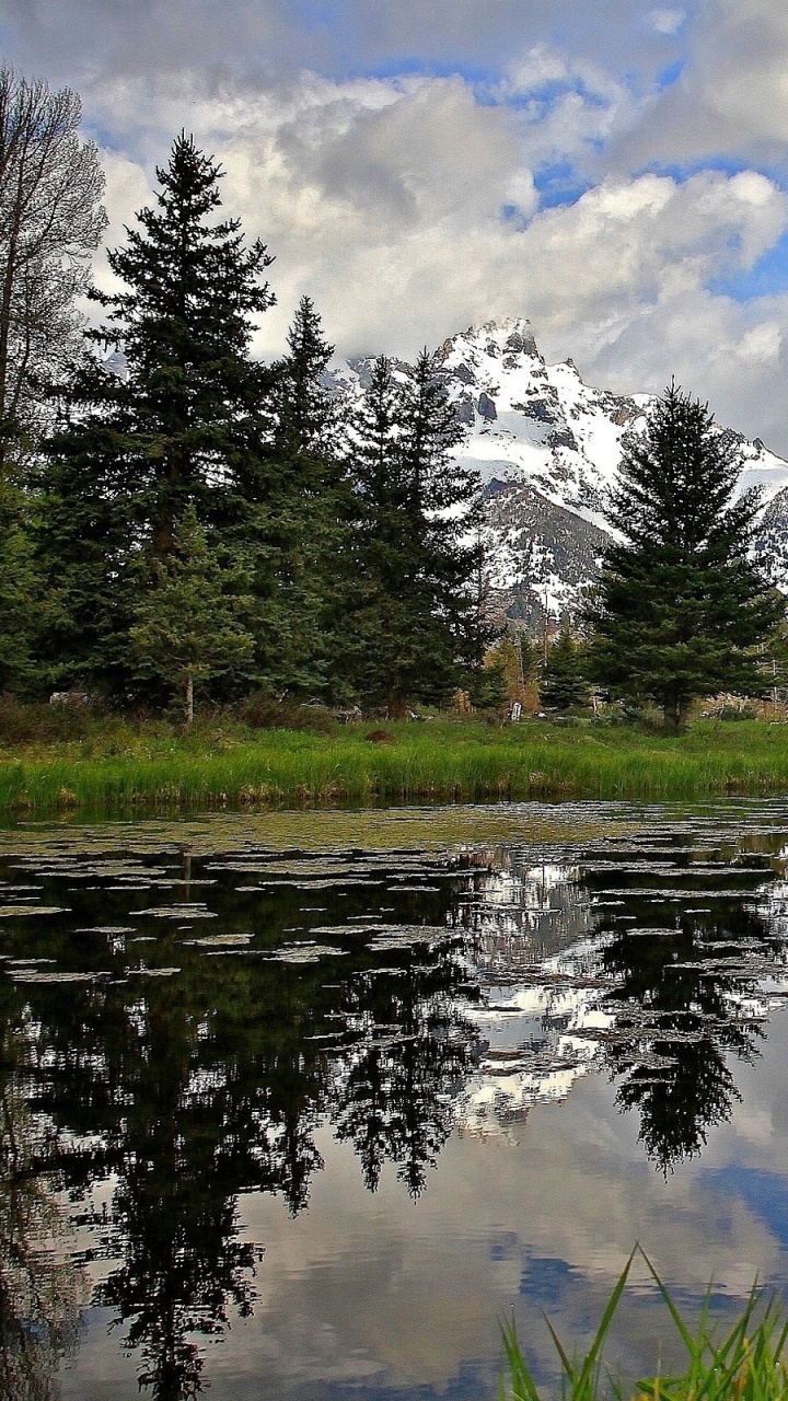 Champ D'herbe Verte Près du Lac et Des Arbres Sous Des Nuages Blancs et un Ciel Bleu Pendant la Journée. Wallpaper in 720x1280 Resolution