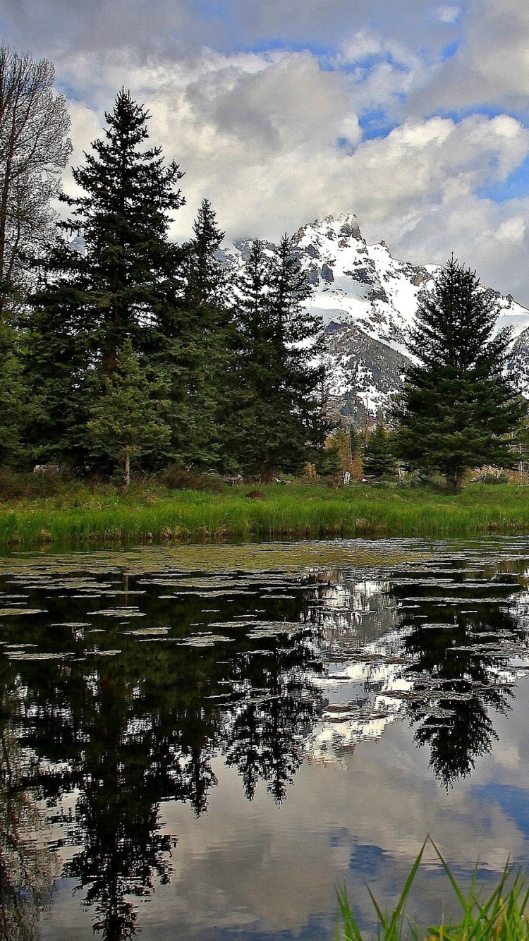 Champ D'herbe Verte Près du Lac et Des Arbres Sous Des Nuages Blancs et un Ciel Bleu Pendant la Journée. Wallpaper in 750x1334 Resolution