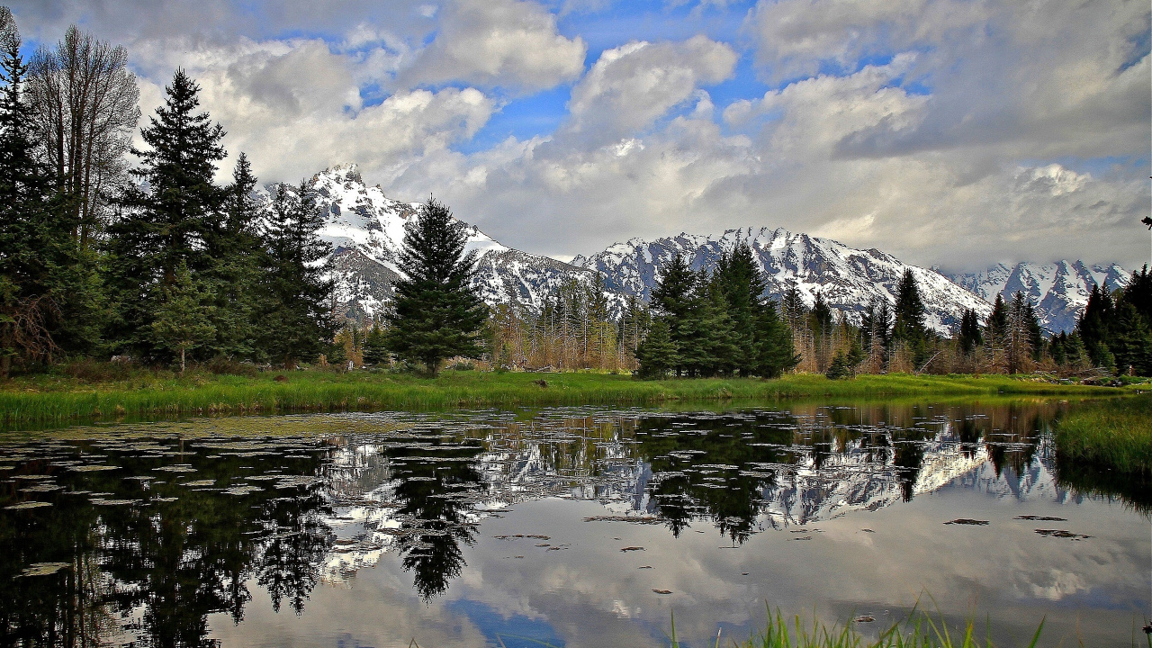 Grüne Wiese in Der Nähe Von See Und Bäumen Unter Weißen Wolken Und Blauem Himmel Tagsüber. Wallpaper in 1280x720 Resolution