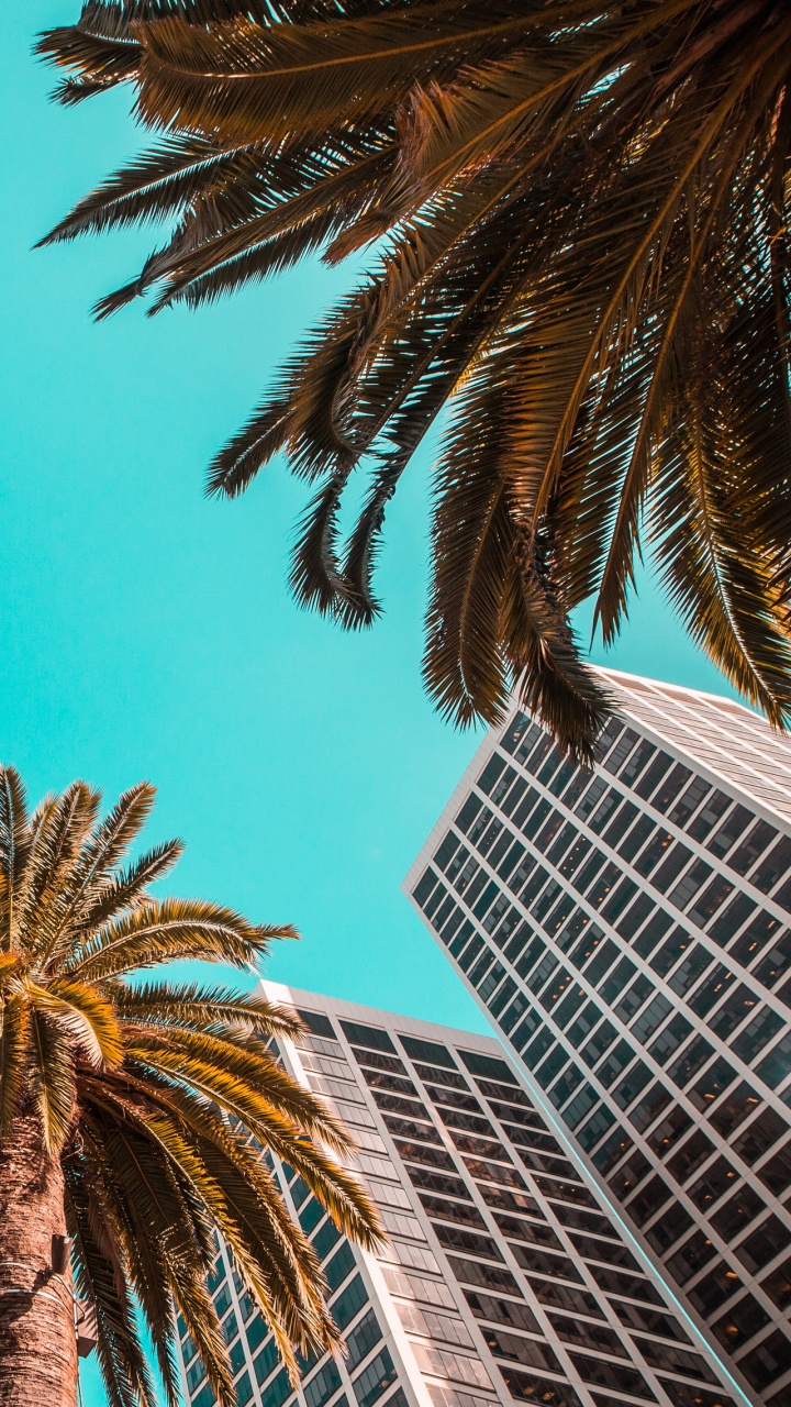 光, Azure 壁纸 720x1280 允许