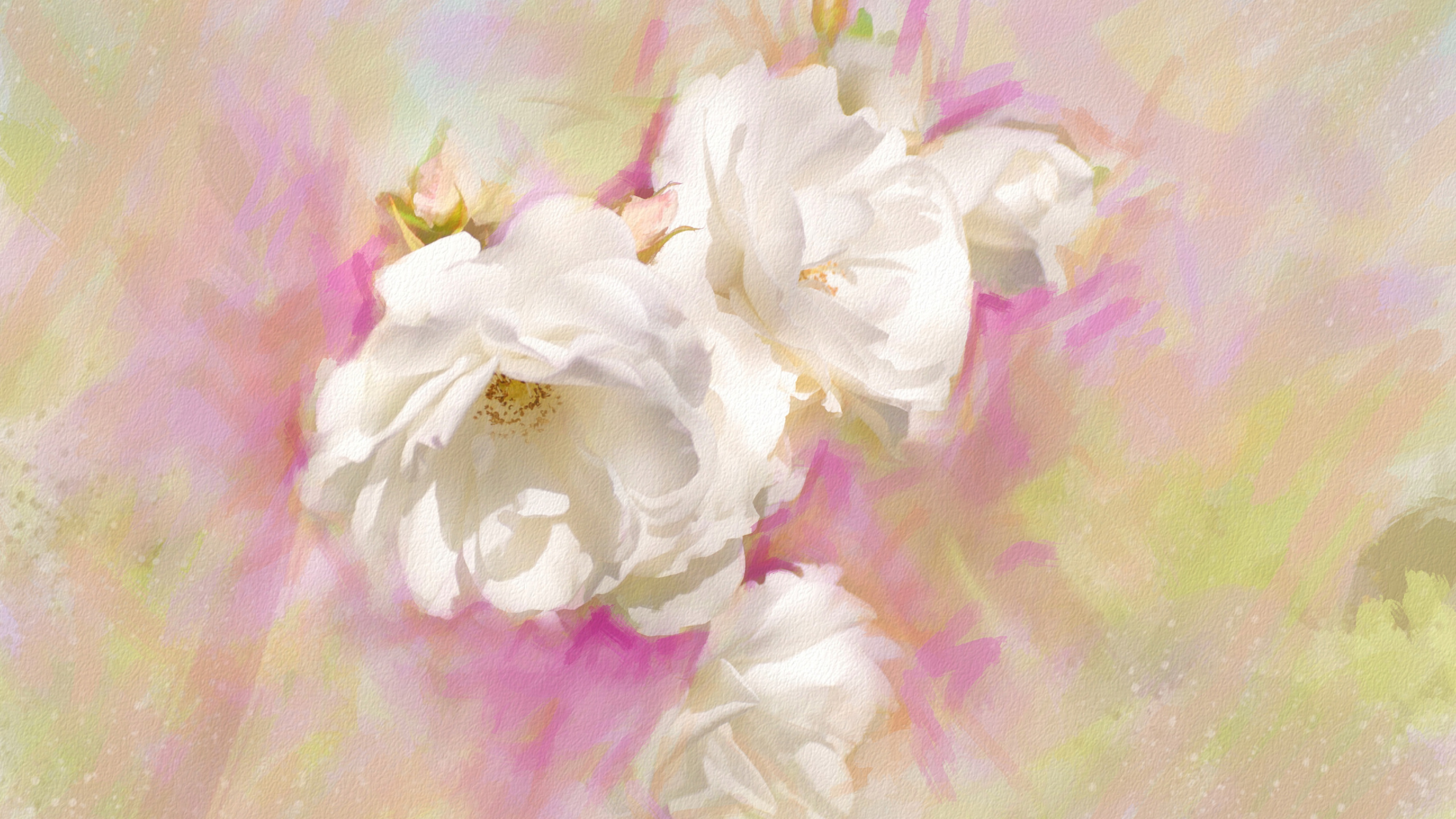 Weiße Blume Auf Rosa Textil. Wallpaper in 2560x1440 Resolution