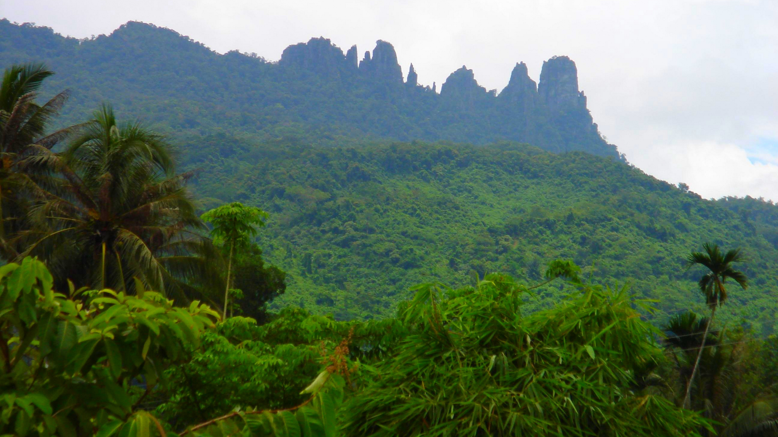 Green Trees on Mountain Under White Sky During Daytime. Wallpaper in 2560x1440 Resolution