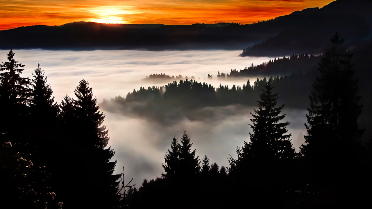 Silhouette, Lever, Matin, Ciel, Brouillard. Wallpaper in 1280x720 Resolution