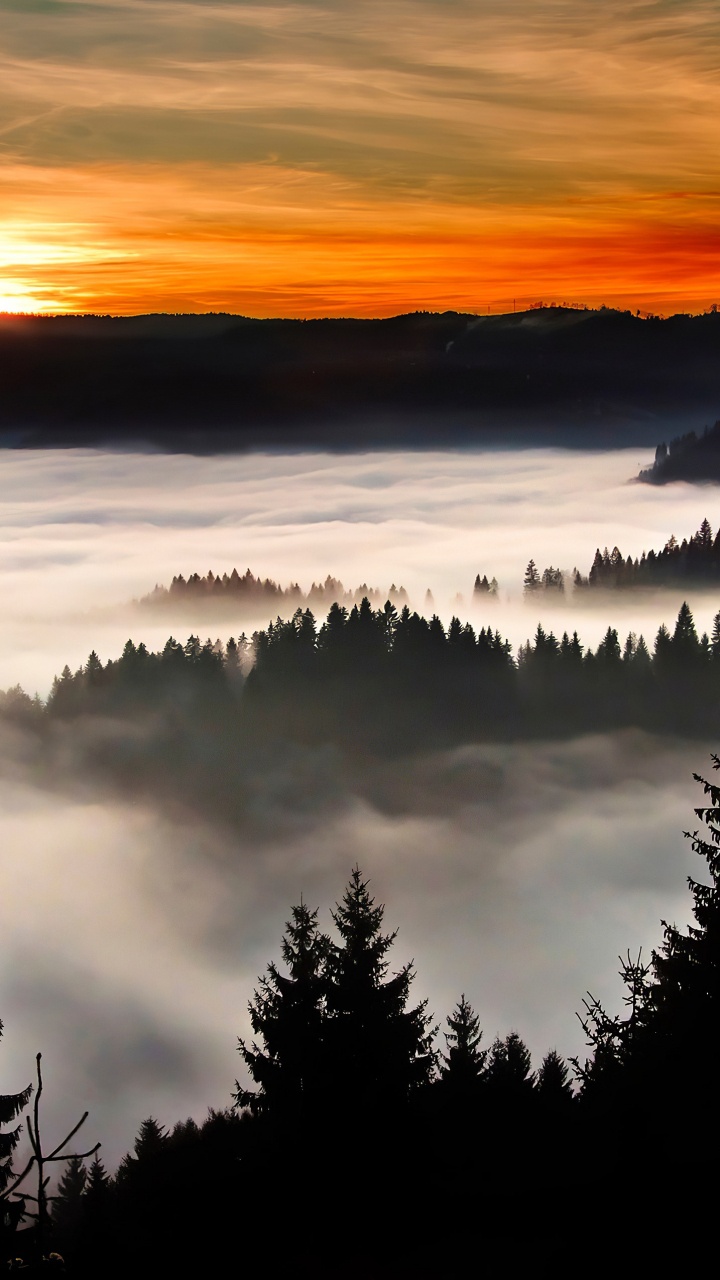 Silhouette, Lever, Matin, Ciel, Brouillard. Wallpaper in 720x1280 Resolution