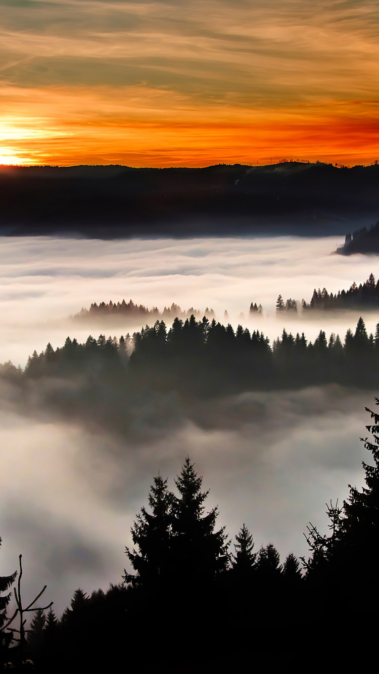 Silhouette, Lever, Matin, Ciel, Brouillard. Wallpaper in 750x1334 Resolution