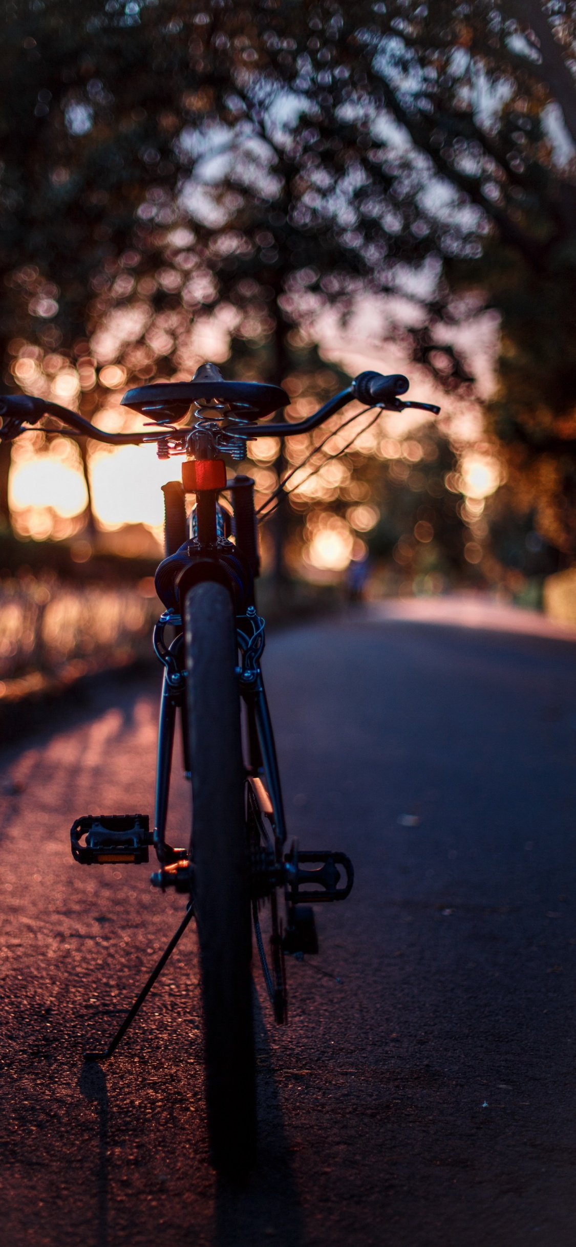 la Bicicleta de Carretera, Bicicleta de Montaña, Bicicleta de Carretera, Ciclismo, Bicicleta Gorda. Wallpaper in 1125x2436 Resolution