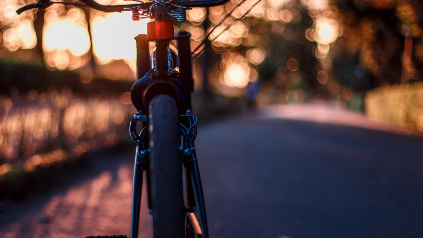 Road Bicycle, Bike, Mountain Bike, Road Bike, Cycling. Wallpaper in 1366x768 Resolution