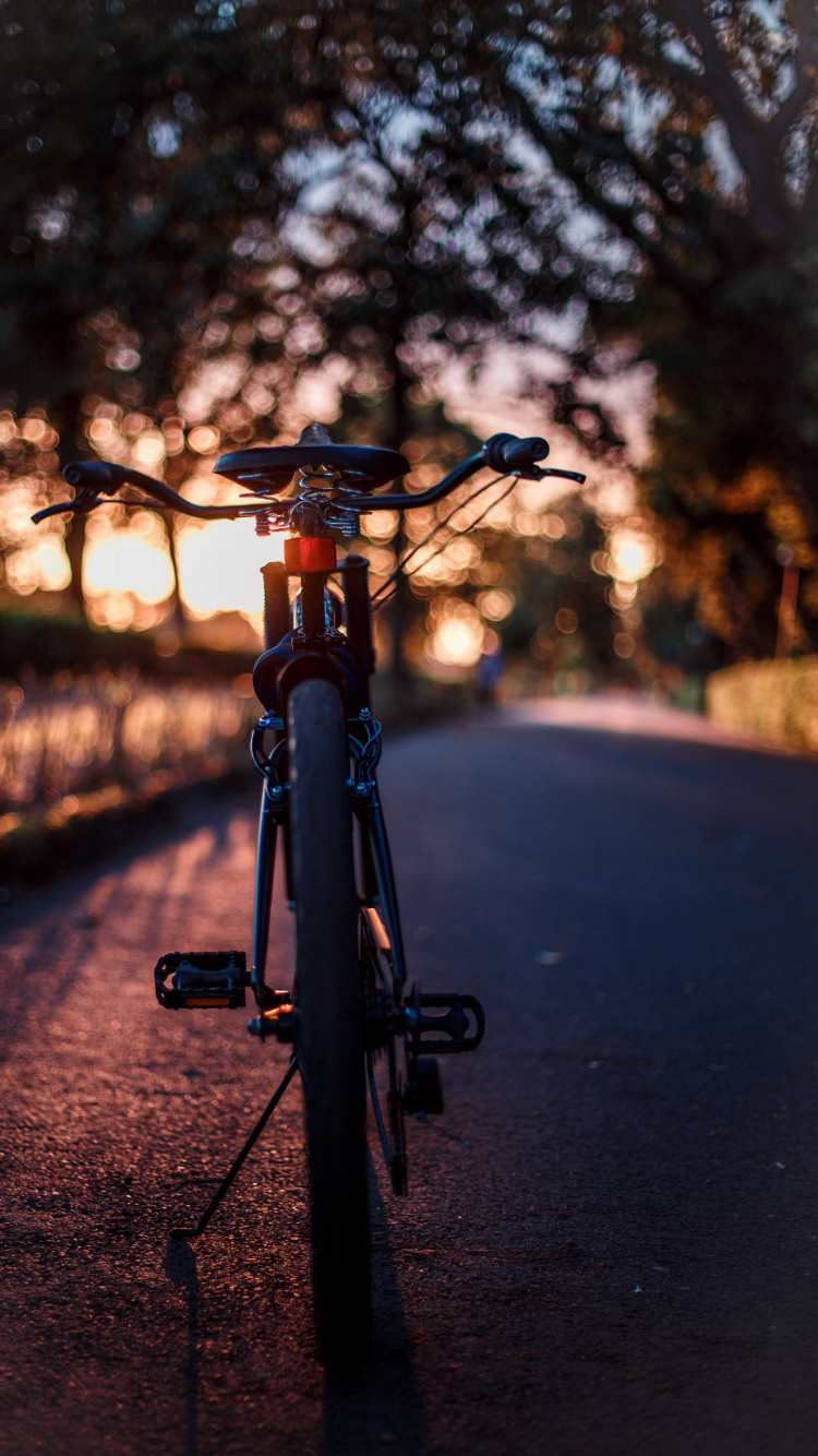 Road Bicycle, Bike, Mountain Bike, Road Bike, Cycling. Wallpaper in 750x1334 Resolution