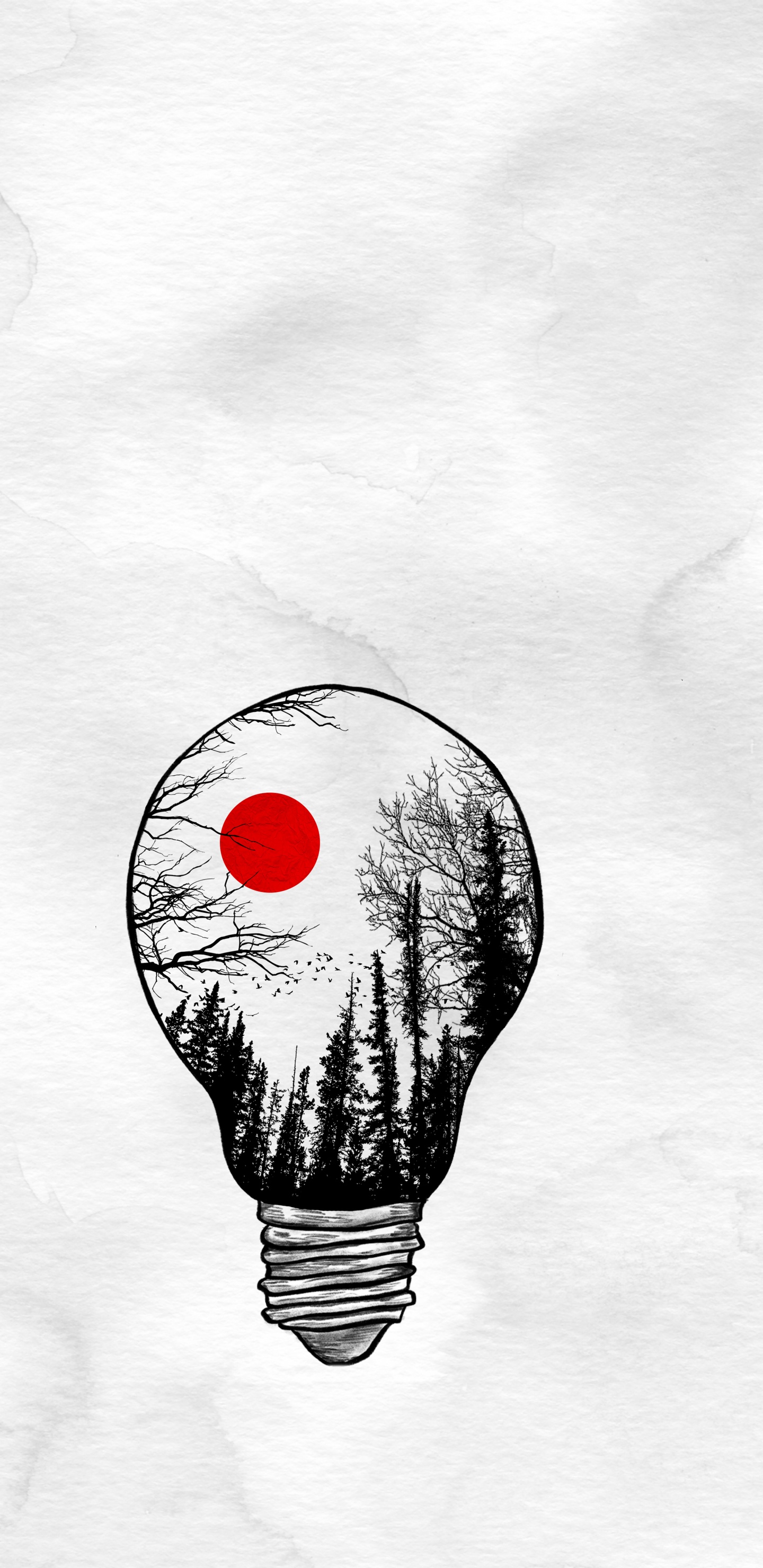 Globo de Aire Caliente, Camisa, Jeans, Globo, Arte. Wallpaper in 1440x2960 Resolution