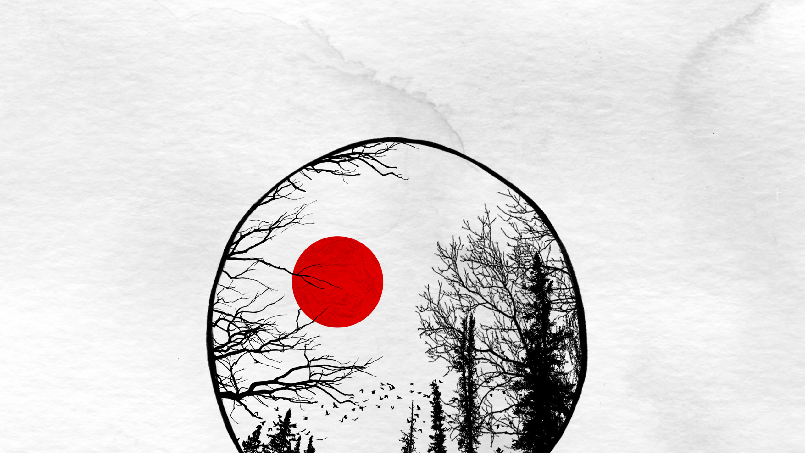 Hot Air Balloon, Shirt, Jeans, Balloon, Art. Wallpaper in 2560x1440 Resolution