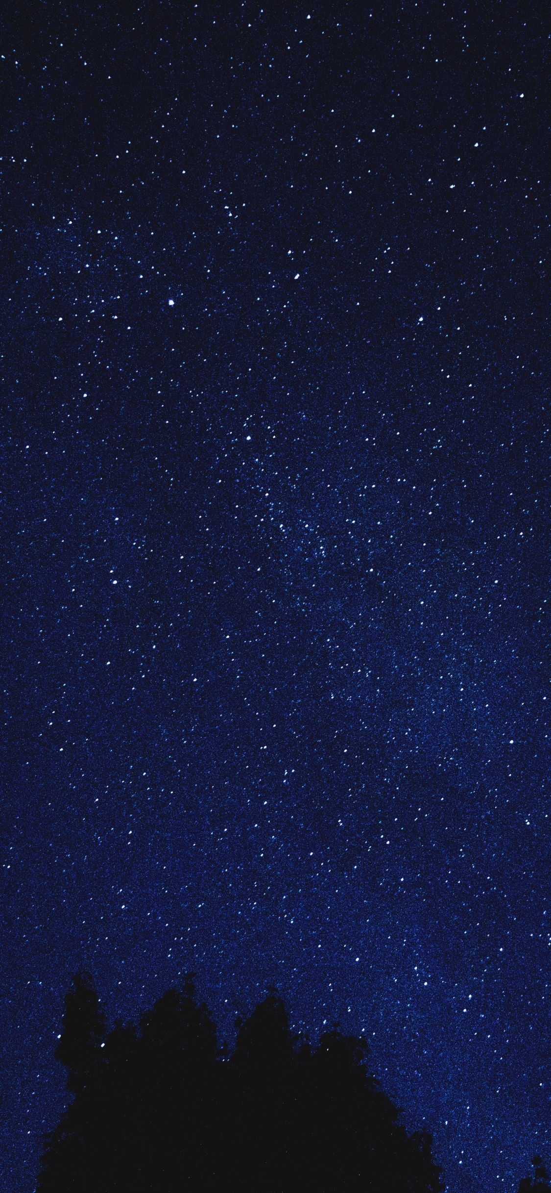 Silhouette Von Bäumen Unter Sternenklarer Nacht. Wallpaper in 1125x2436 Resolution
