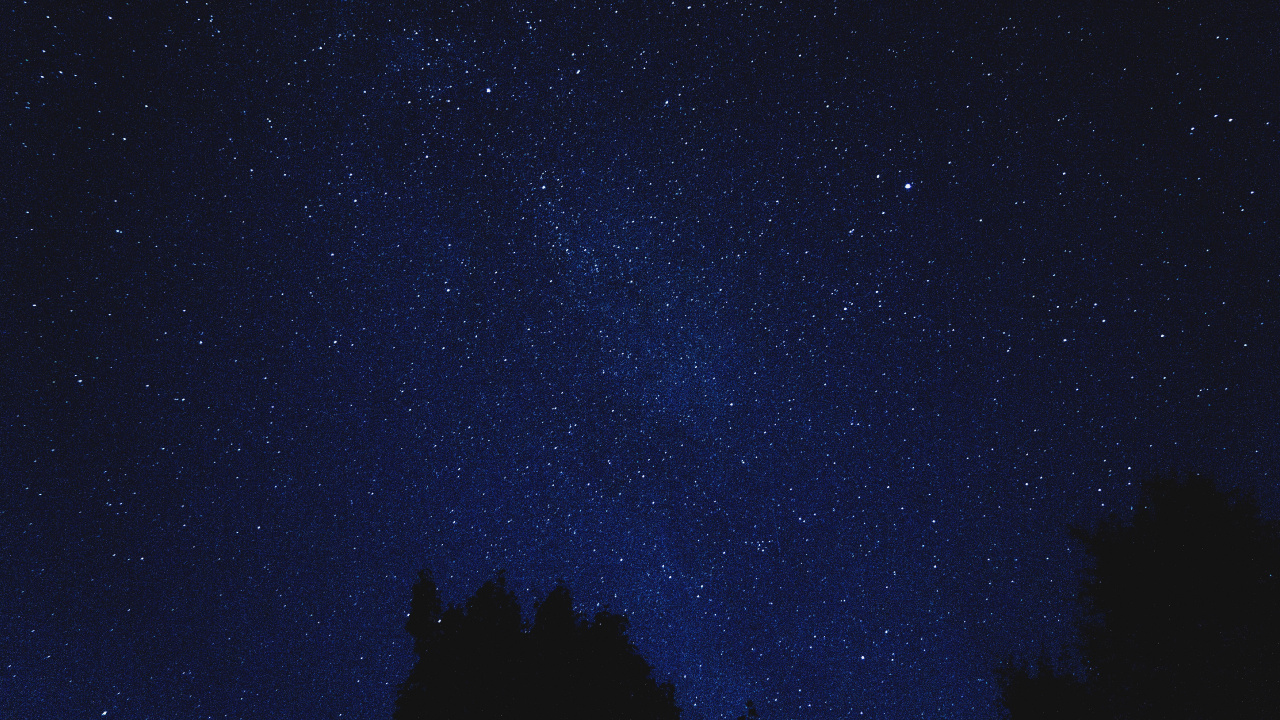 Silhouette Von Bäumen Unter Sternenklarer Nacht. Wallpaper in 1280x720 Resolution