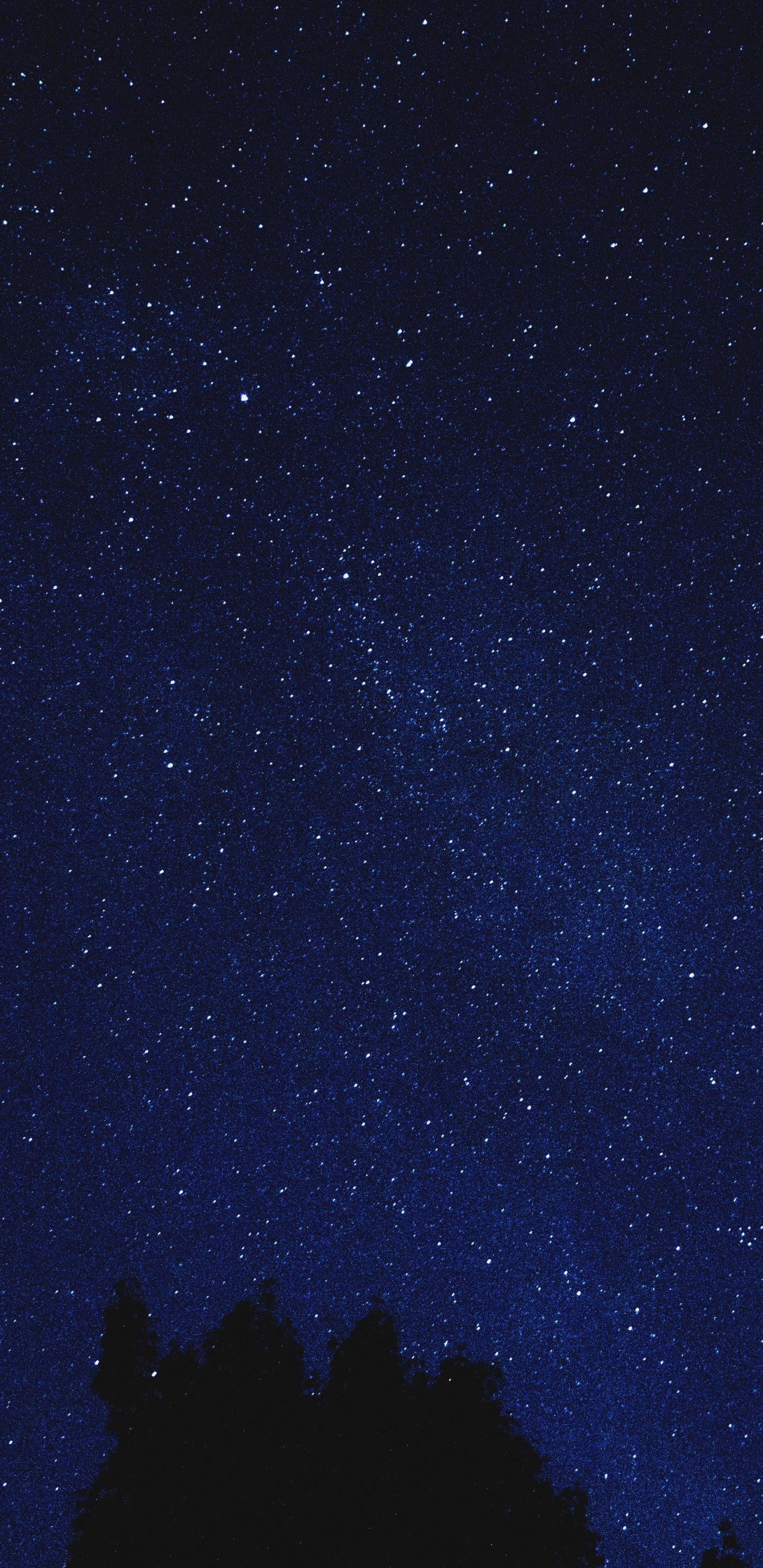 Silhouette Von Bäumen Unter Sternenklarer Nacht. Wallpaper in 1440x2960 Resolution