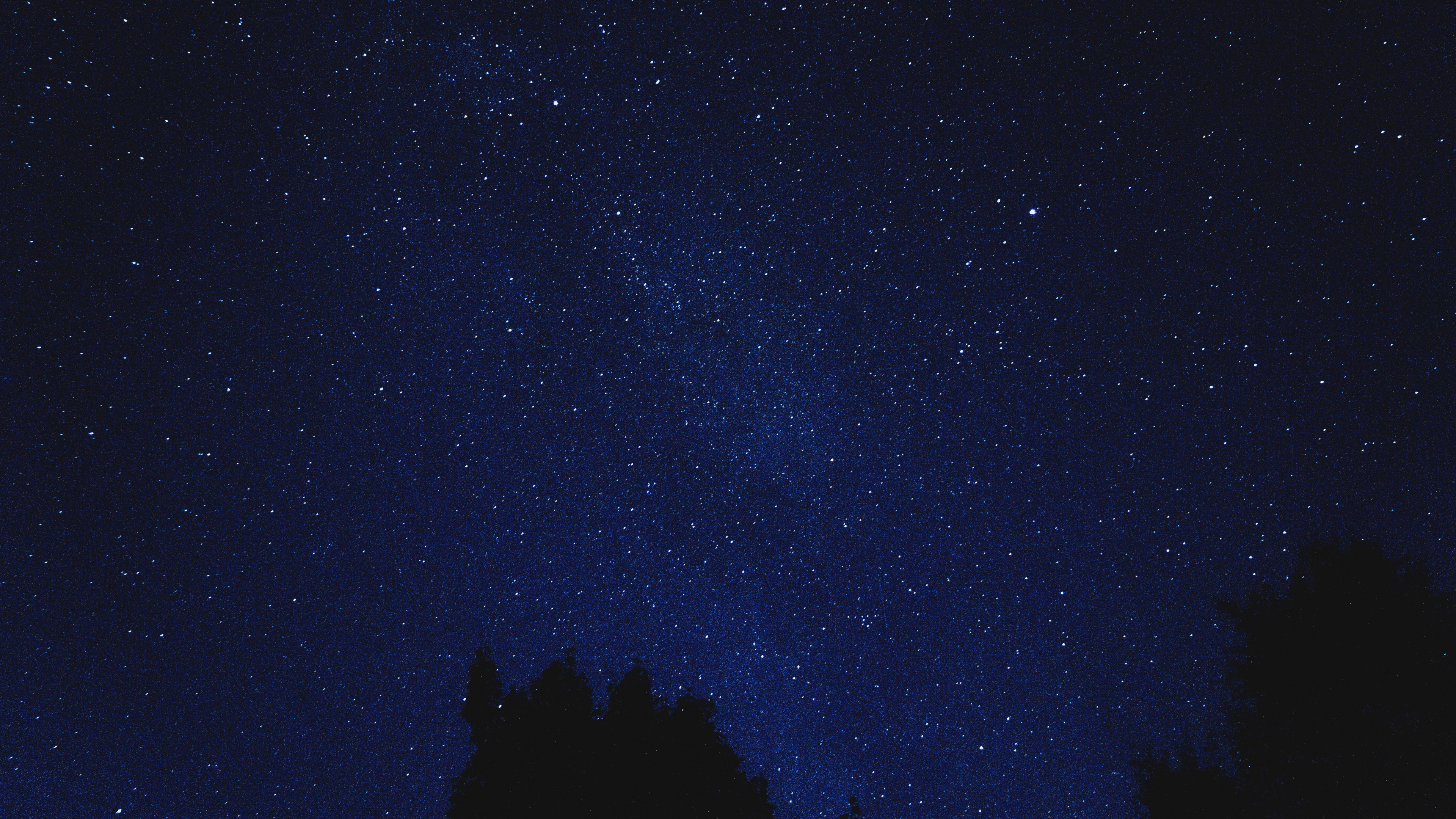 Silhouette Von Bäumen Unter Sternenklarer Nacht. Wallpaper in 3840x2160 Resolution