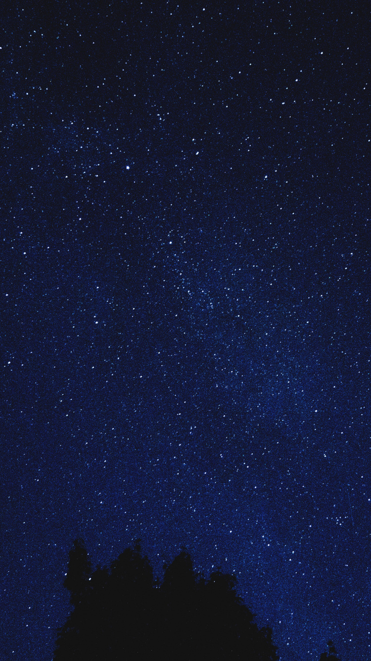 Silhouette Von Bäumen Unter Sternenklarer Nacht. Wallpaper in 750x1334 Resolution