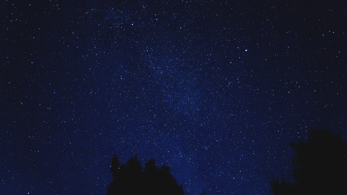 Silhouette of Trees Under Starry Night. Wallpaper in 1366x768 Resolution
