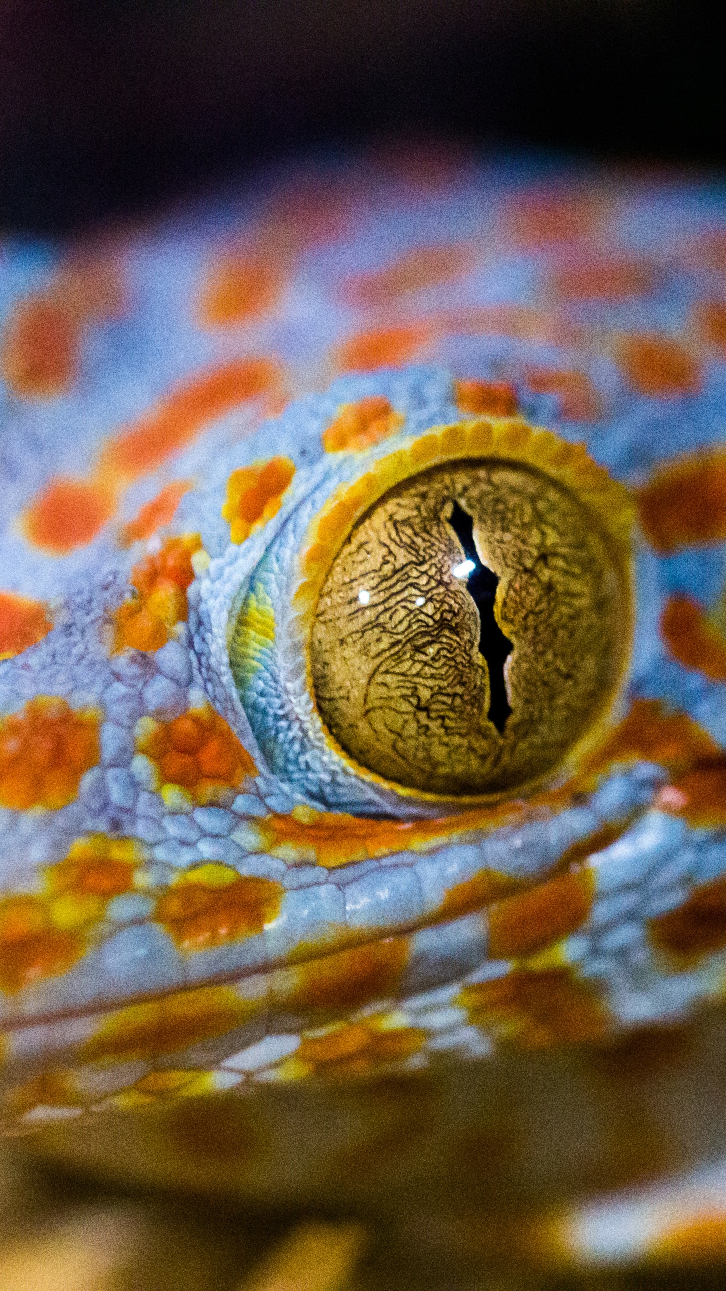 Textil de Rayas Marrón y Blanco. Wallpaper in 1440x2560 Resolution