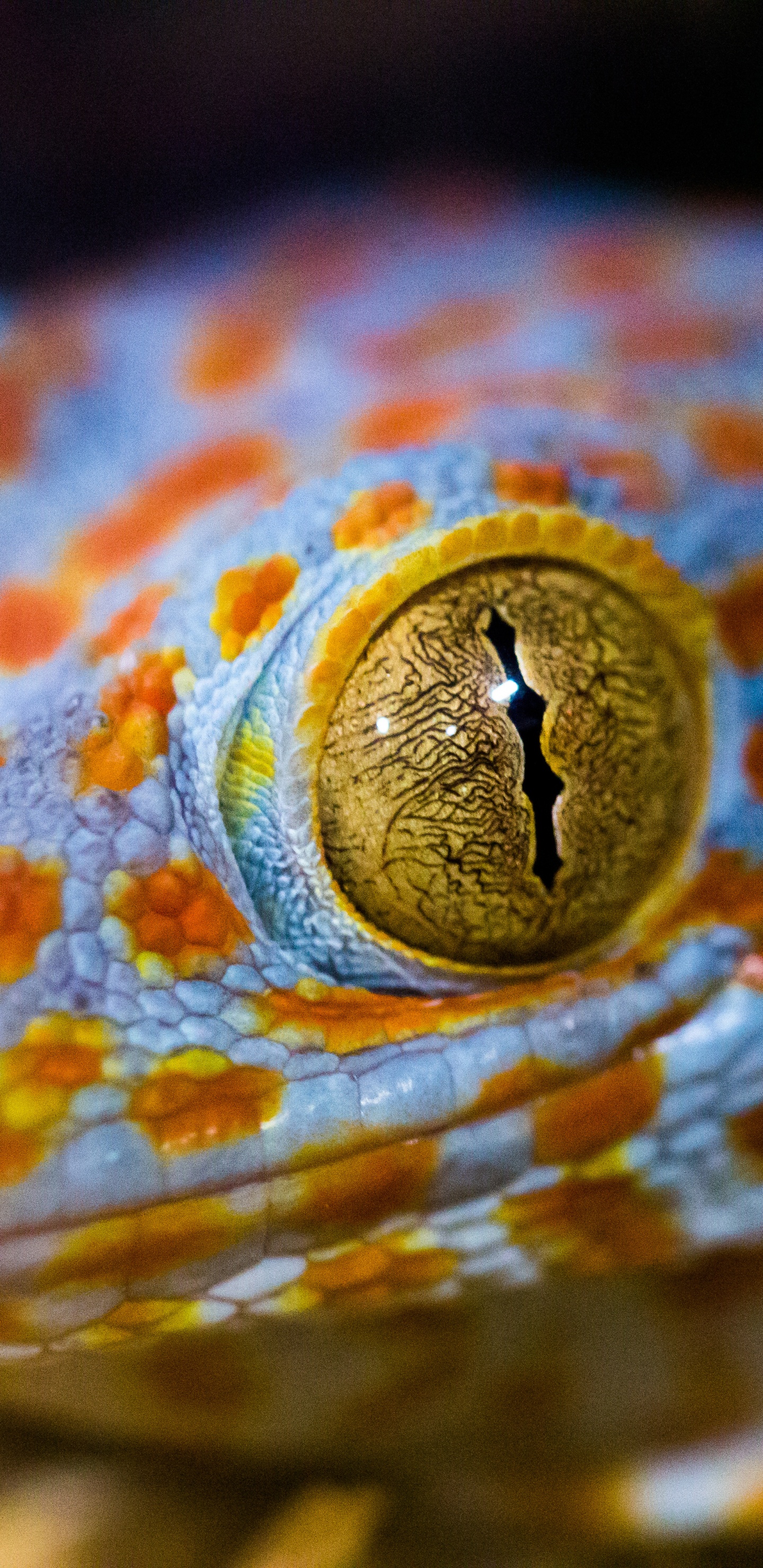 Textil de Rayas Marrón y Blanco. Wallpaper in 1440x2960 Resolution