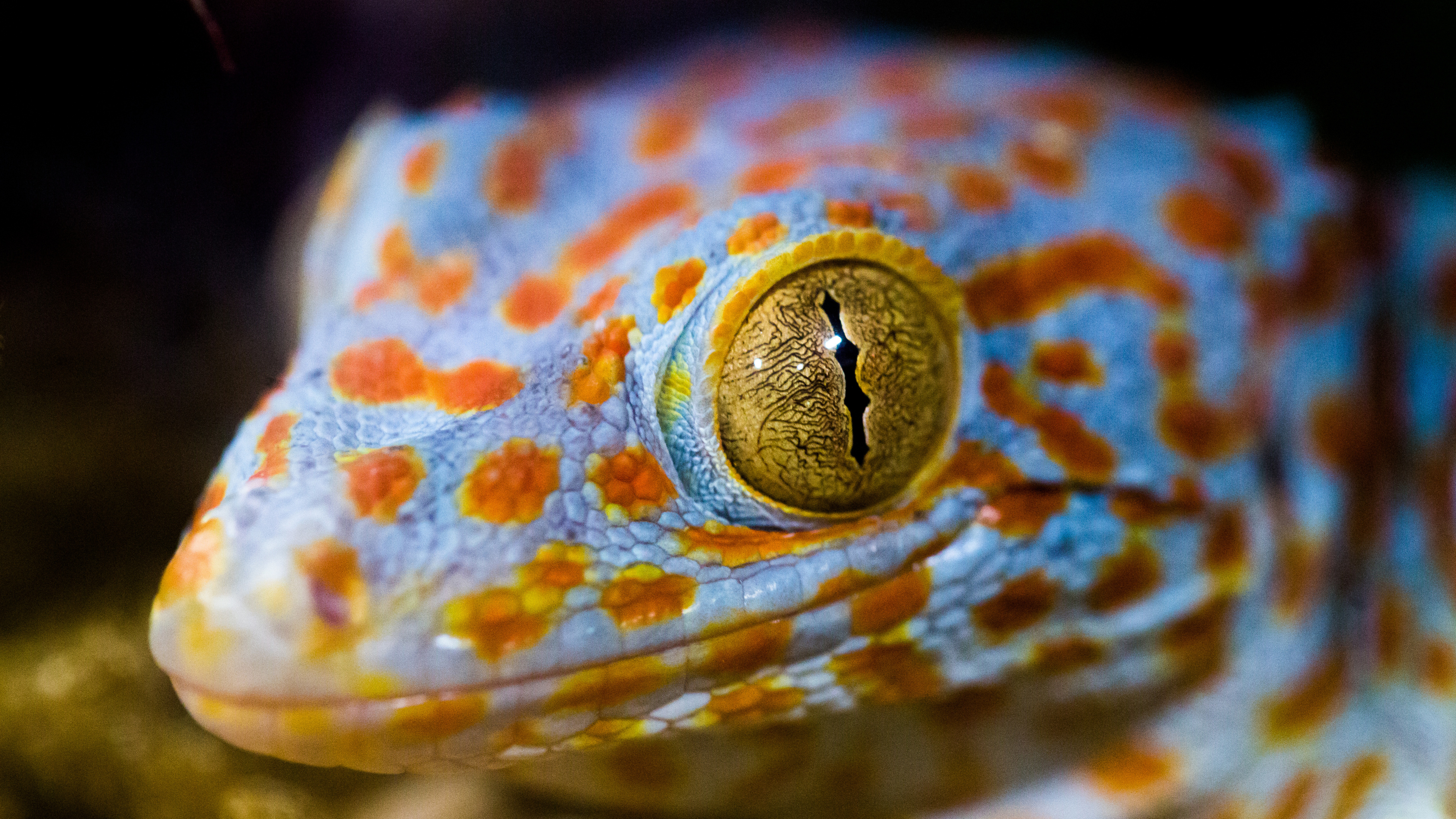Textile à Rayures Marron et Blanc. Wallpaper in 3840x2160 Resolution