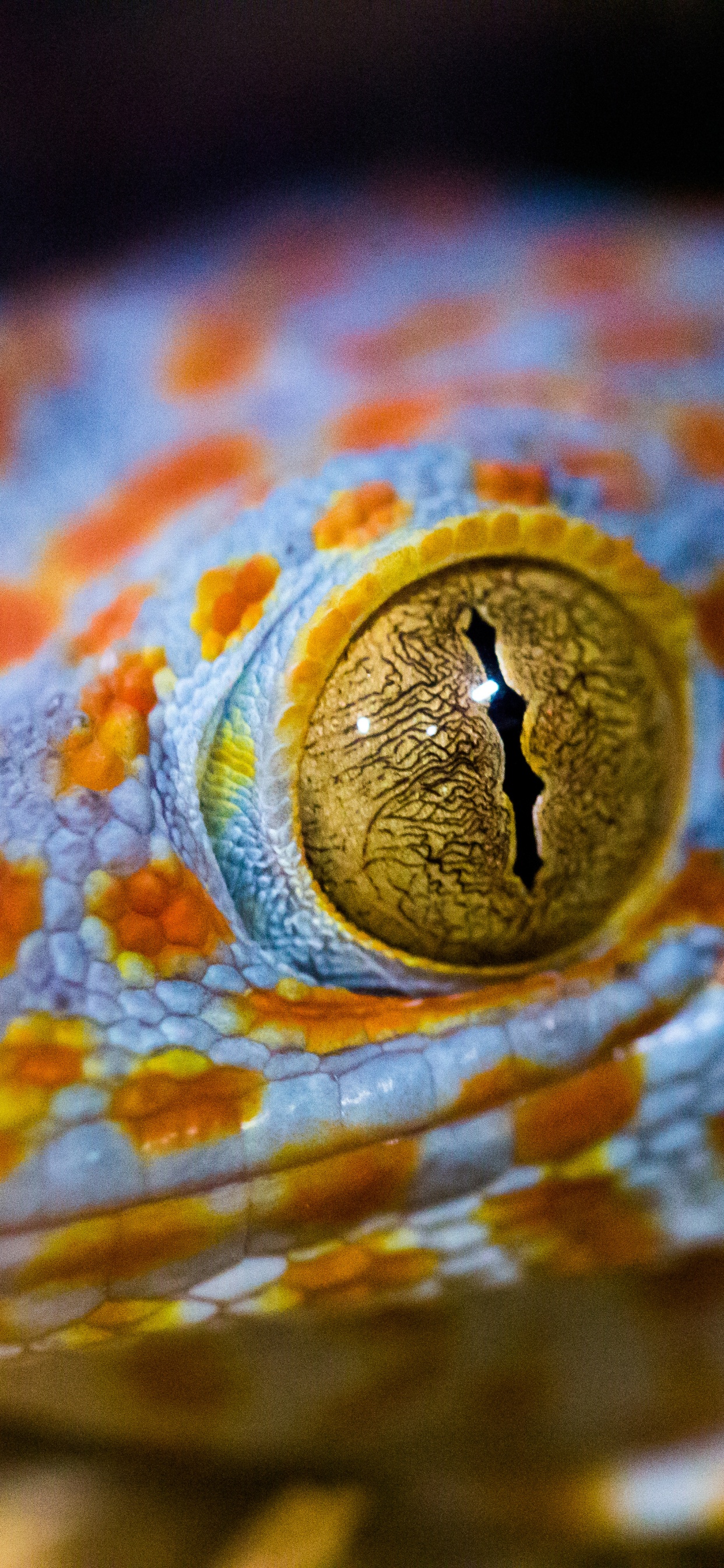 Brown and White Stripe Textile. Wallpaper in 1242x2688 Resolution