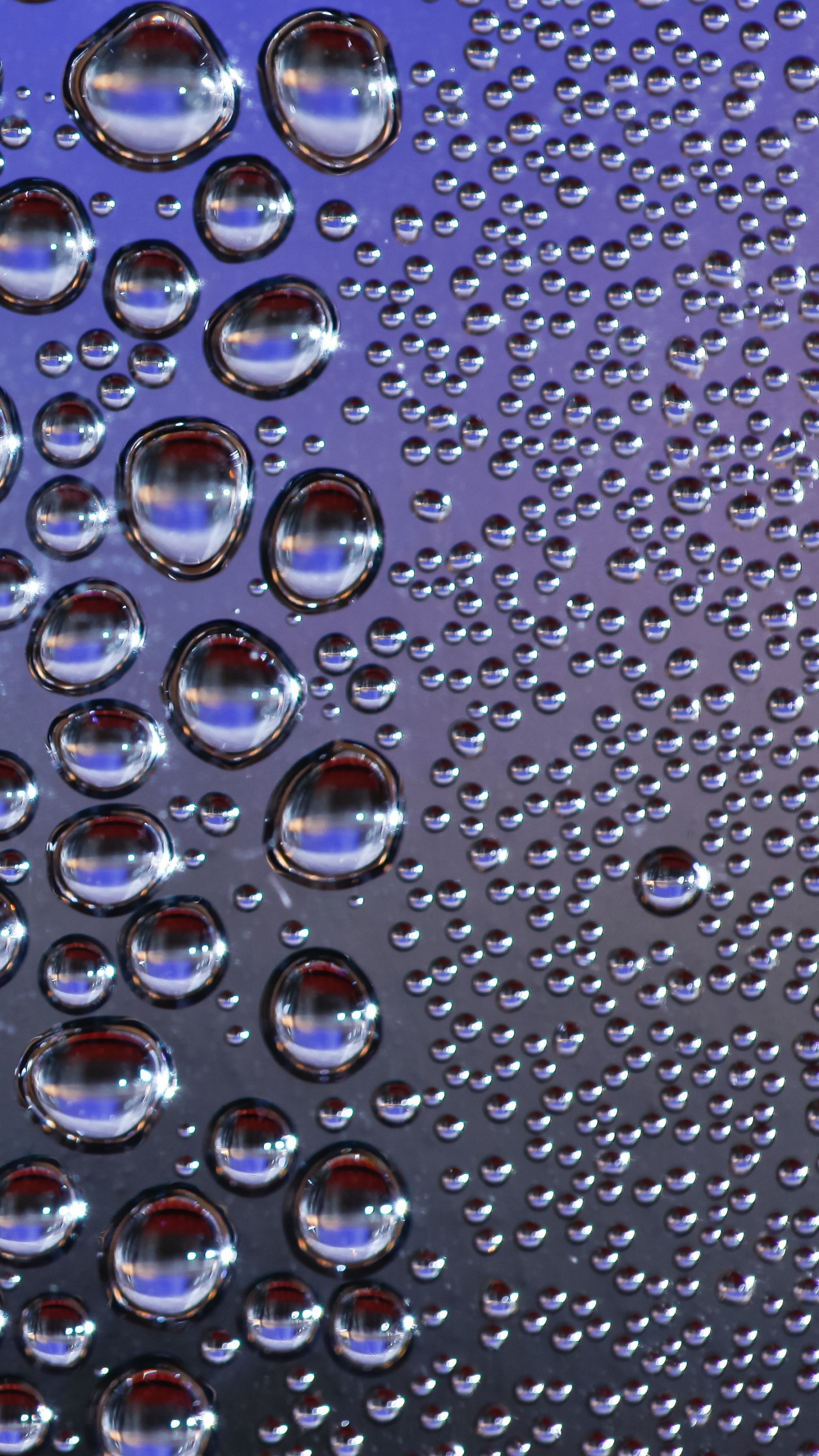 Gouttes D'eau Sur Verre Clair. Wallpaper in 1440x2560 Resolution