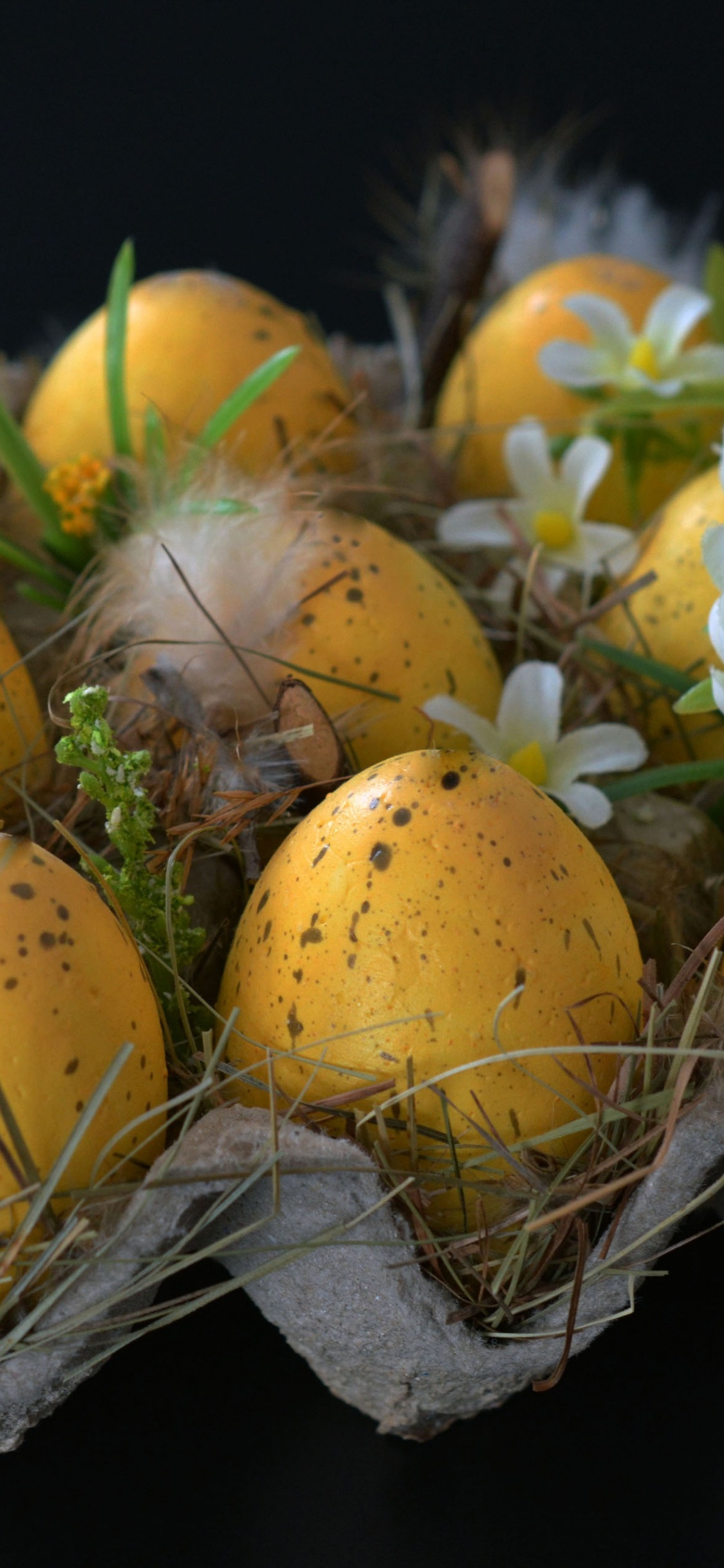 Alimento, Planta Perenne, Huevo de Pascua, Huevo, Pascua. Wallpaper in 1125x2436 Resolution