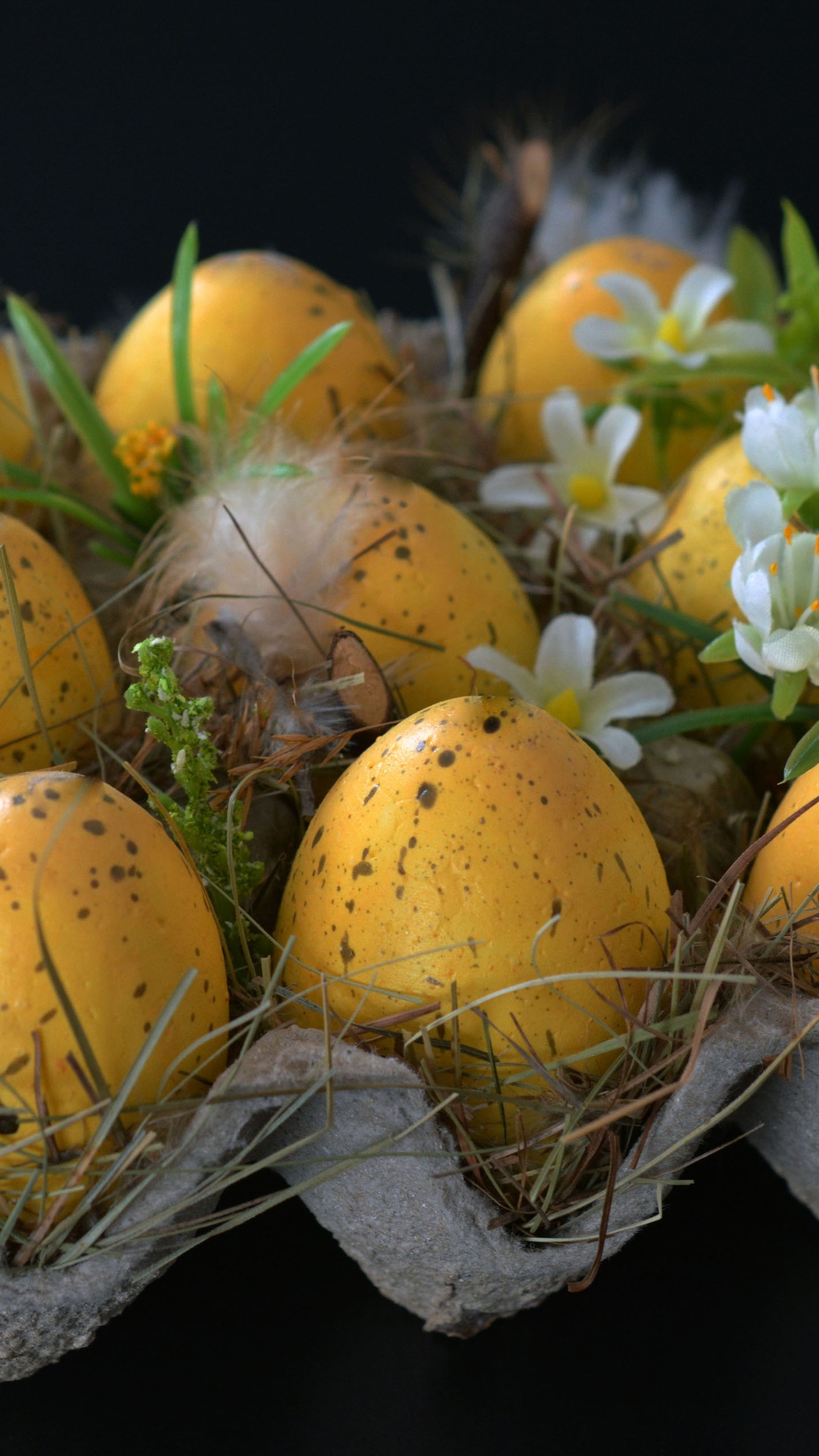 Alimento, Planta Perenne, Huevo de Pascua, Huevo, Pascua. Wallpaper in 1440x2560 Resolution