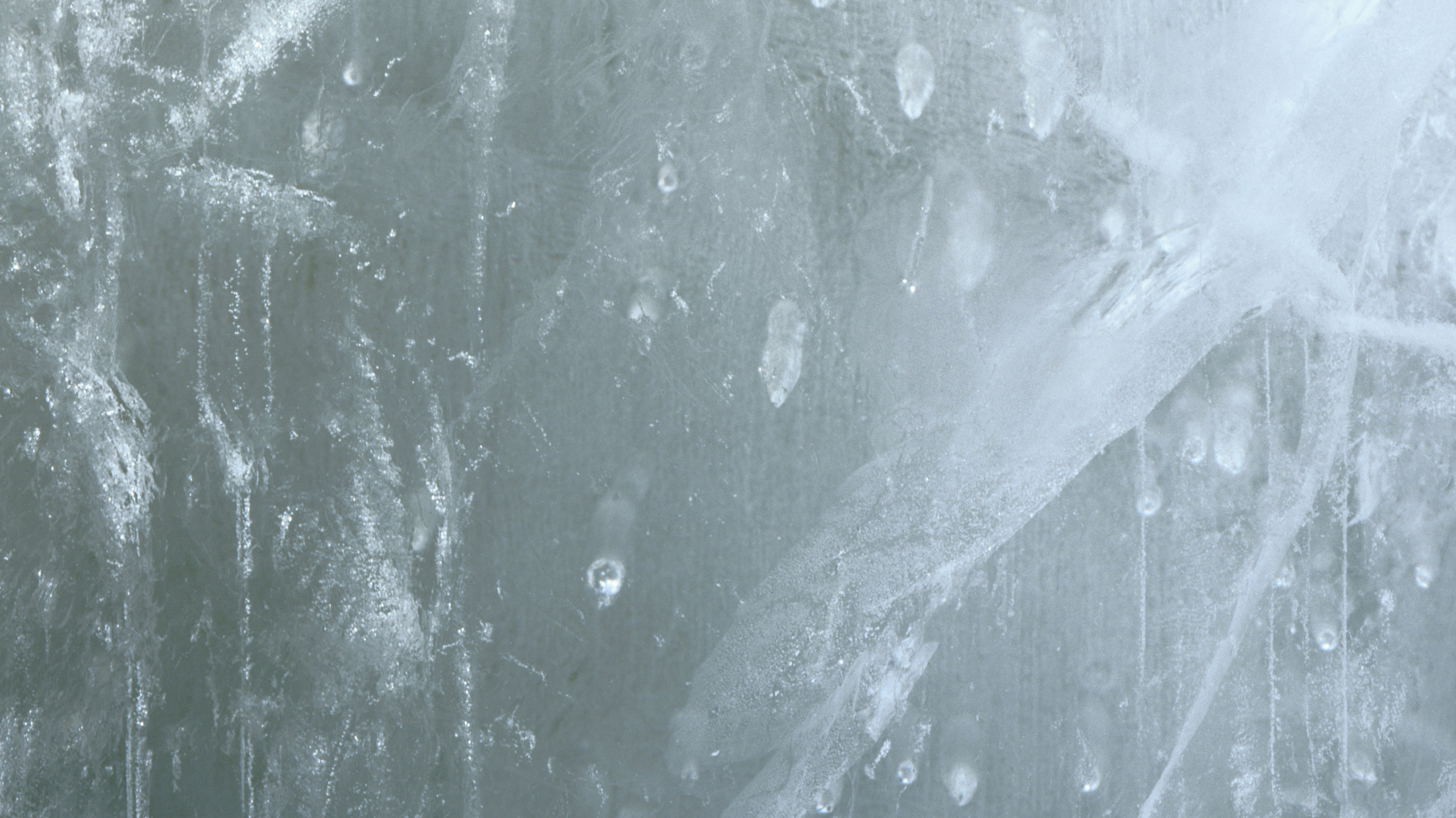 冻结, 黑色和白色的, 白色, 冬天, 冰川地貌 壁纸 2560x1440 允许