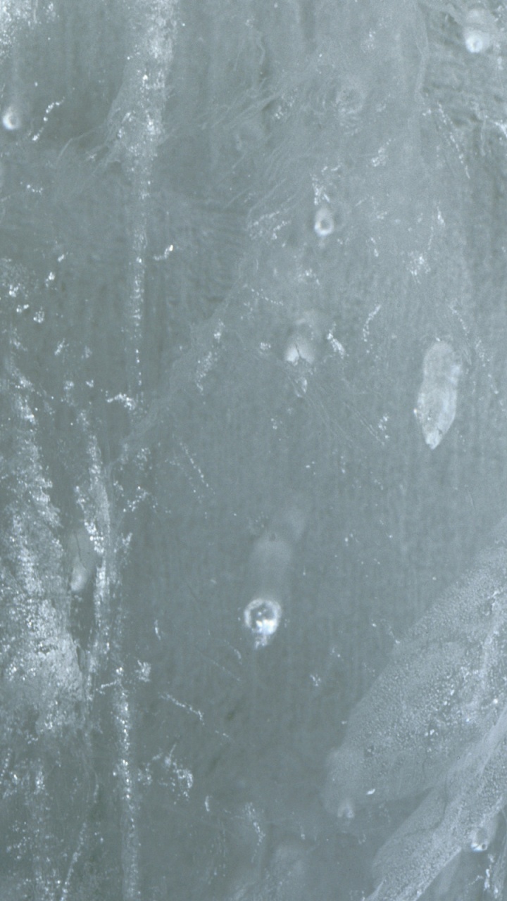 冻结, 黑色和白色的, 白色, 冬天, 冰川地貌 壁纸 720x1280 允许