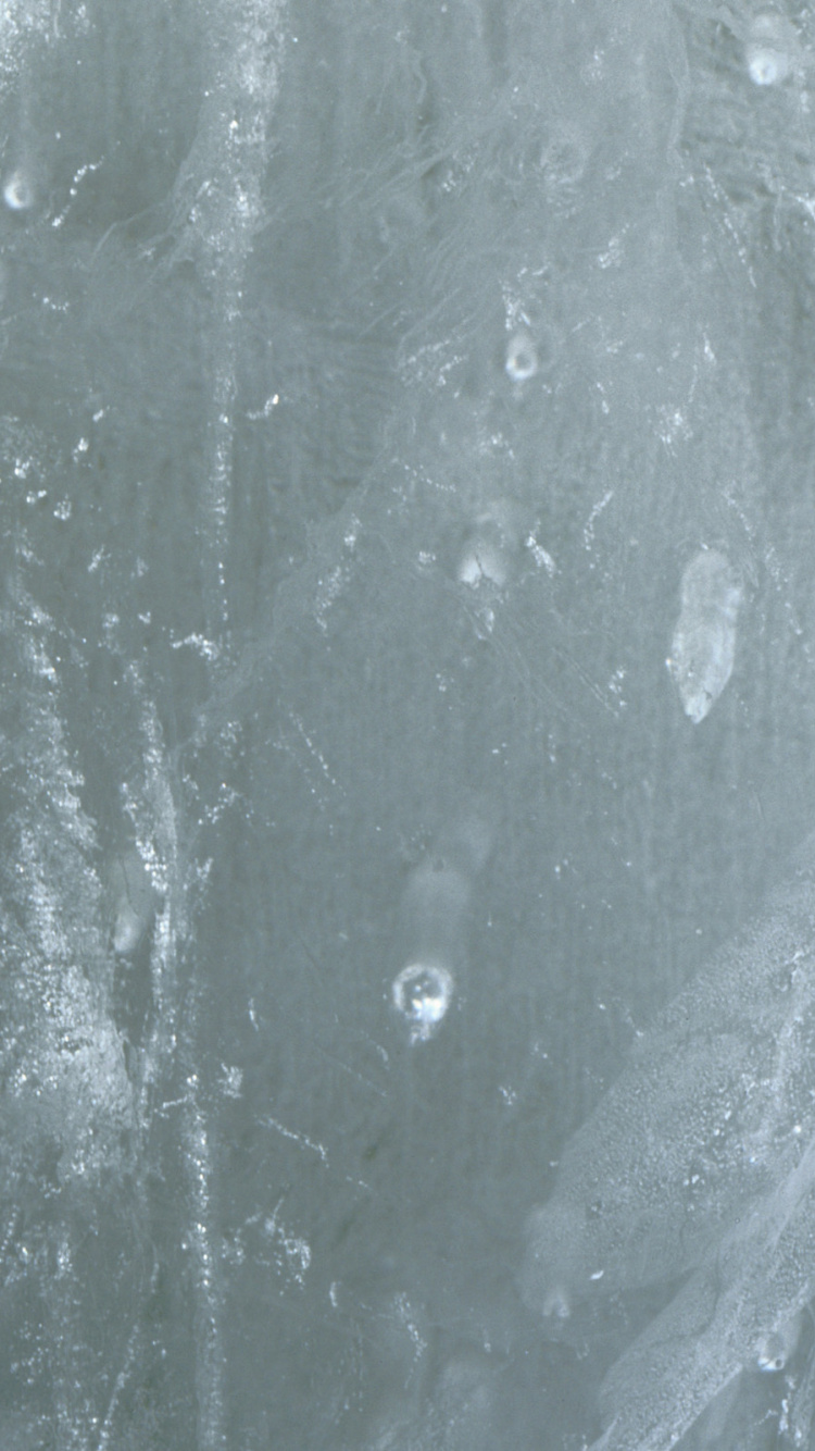 Gotas de Agua Sobre la Superficie de Madera Gris. Wallpaper in 750x1334 Resolution