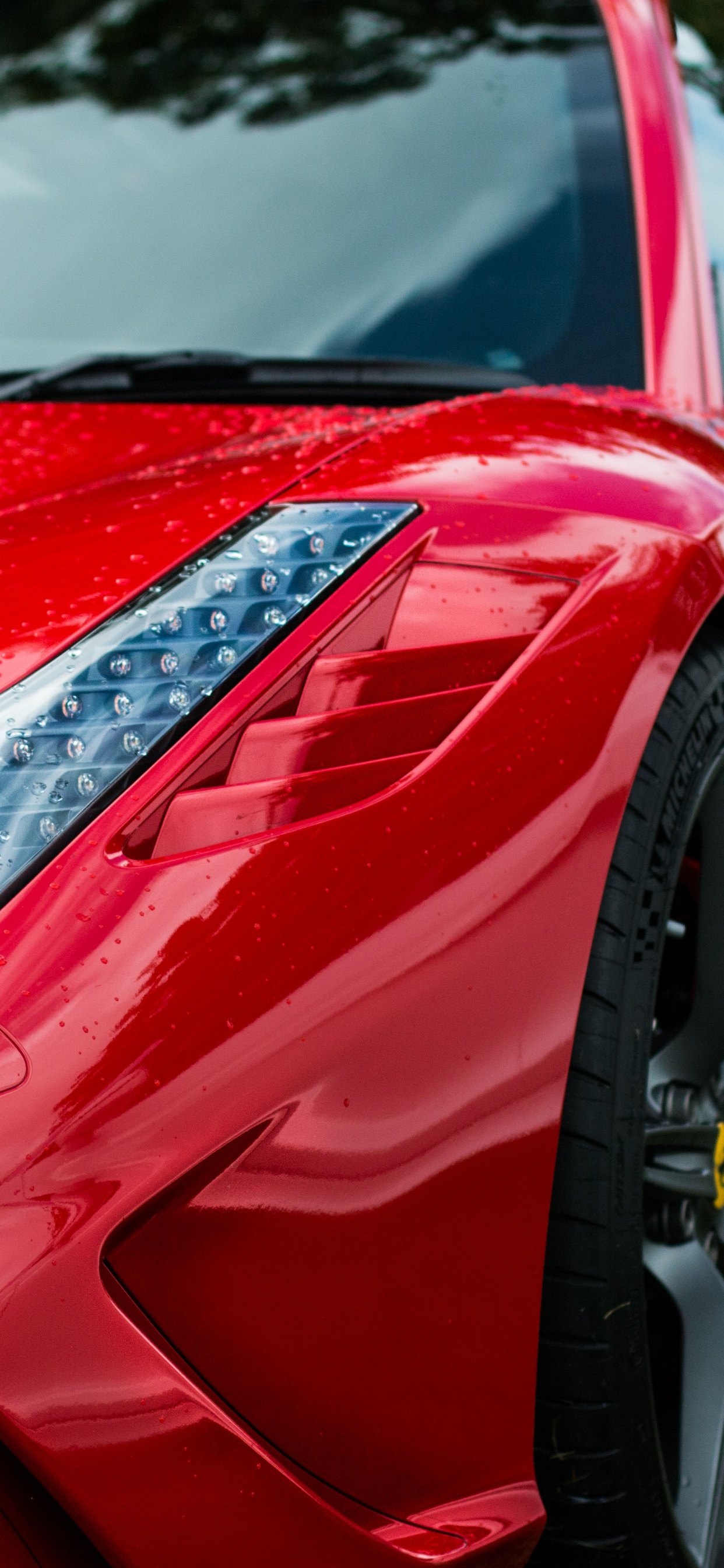 Red Ferrari Car on Green Grass Field During Daytime. Wallpaper in 1242x2688 Resolution