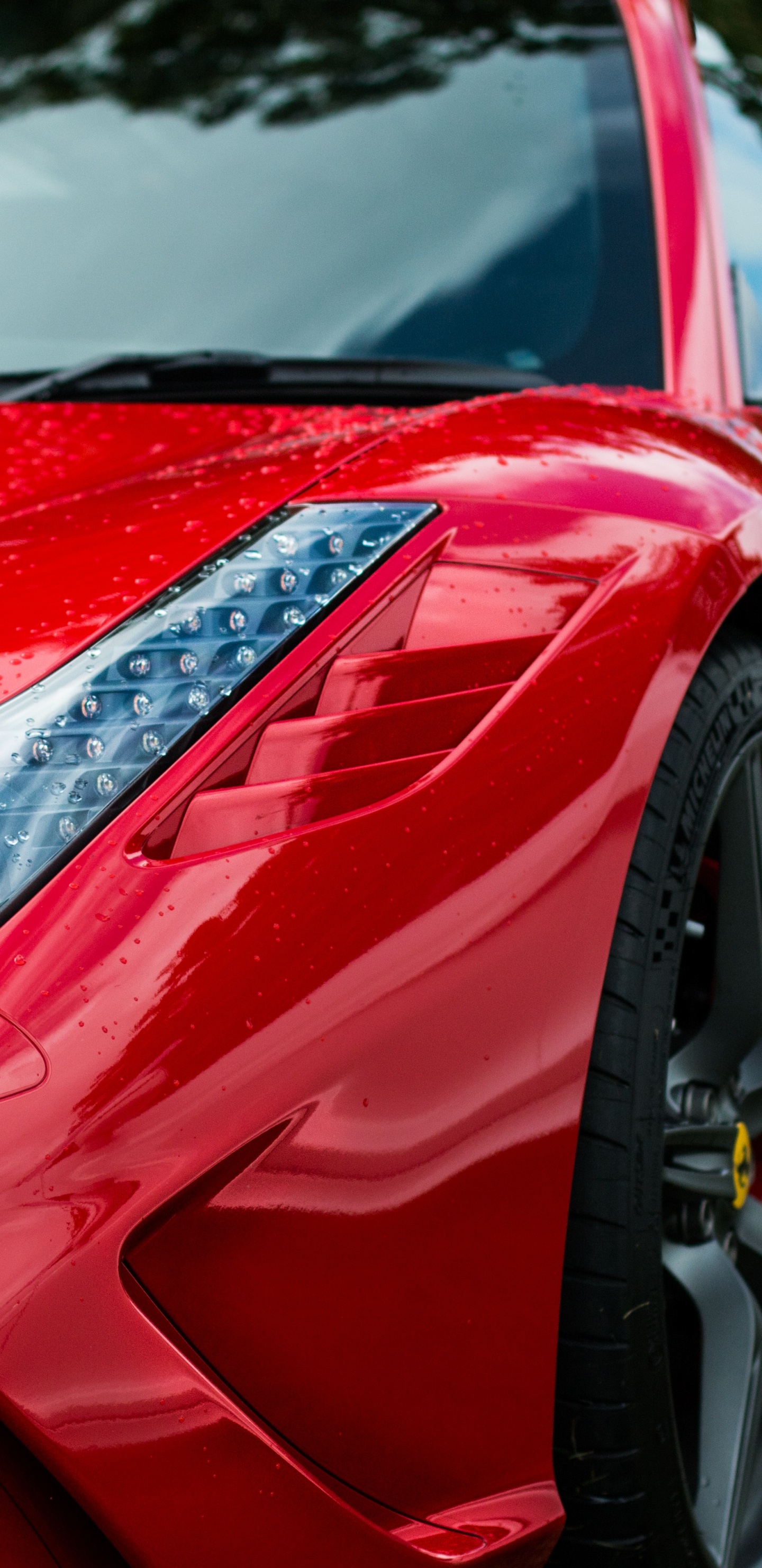 Rotes Ferrari-auto Auf Grüner Wiese Tagsüber. Wallpaper in 1440x2960 Resolution